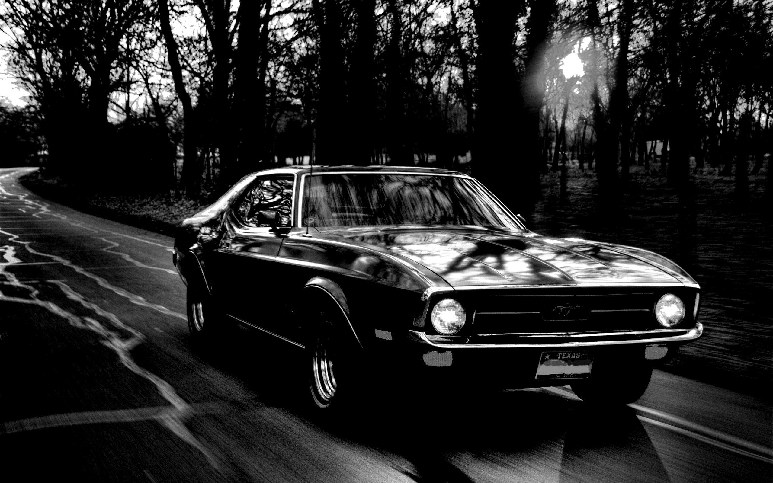 Мустанг обои