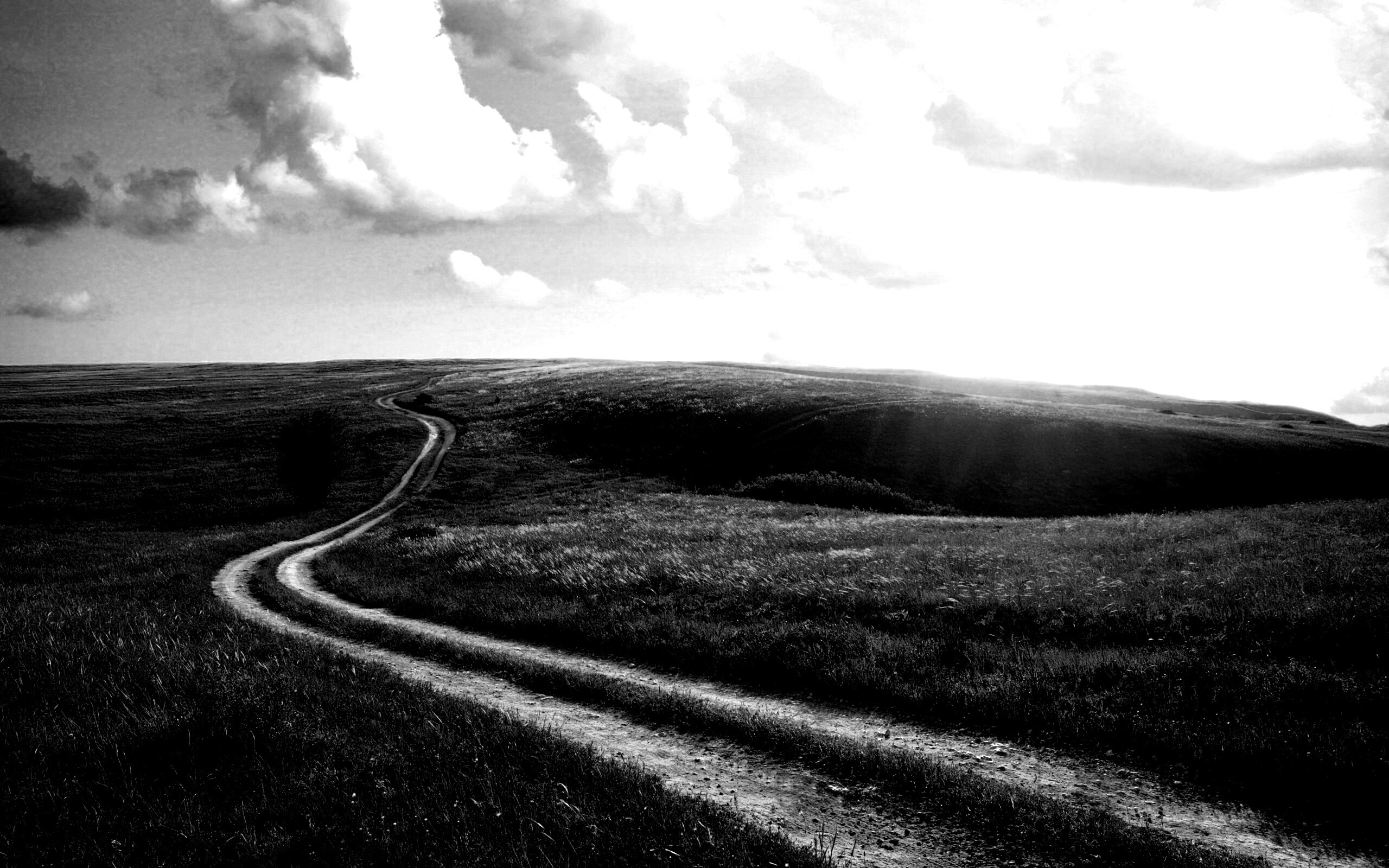 Дорога через луг обои