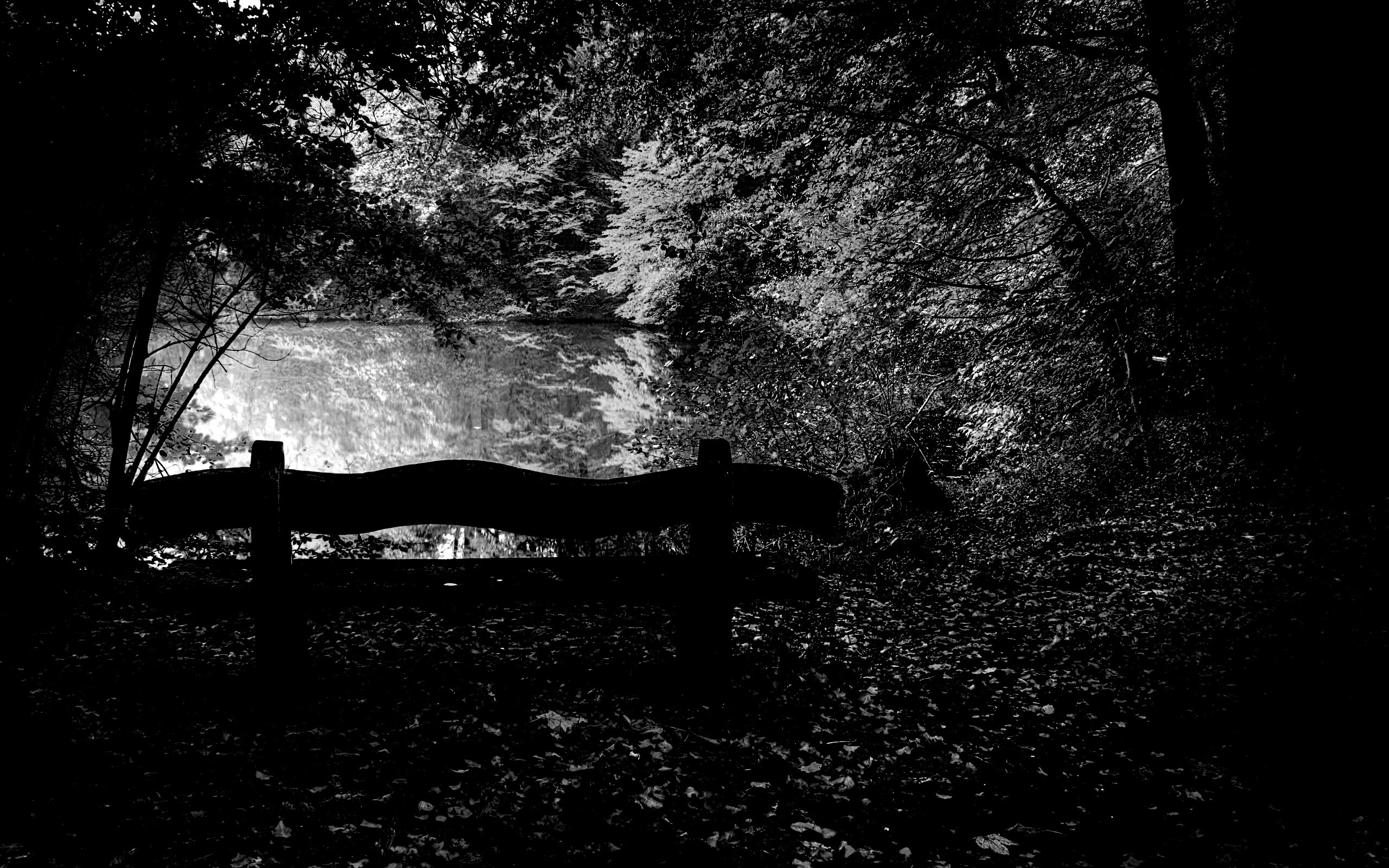 Скамейка в лесу обои