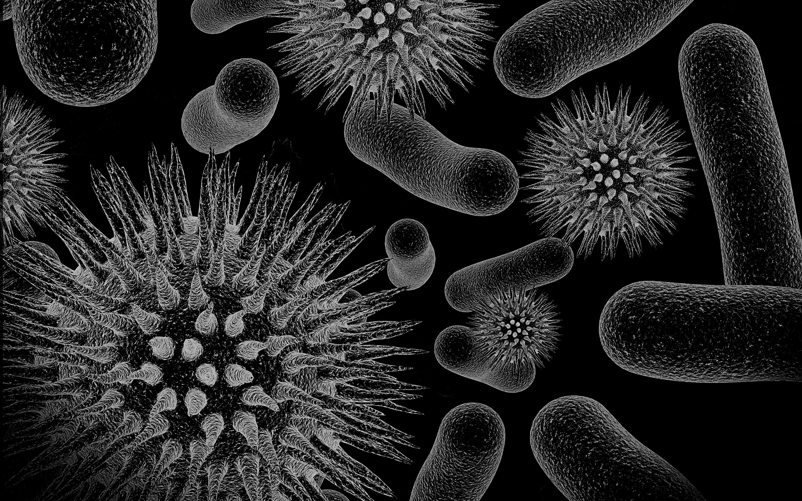 Бактерии обои