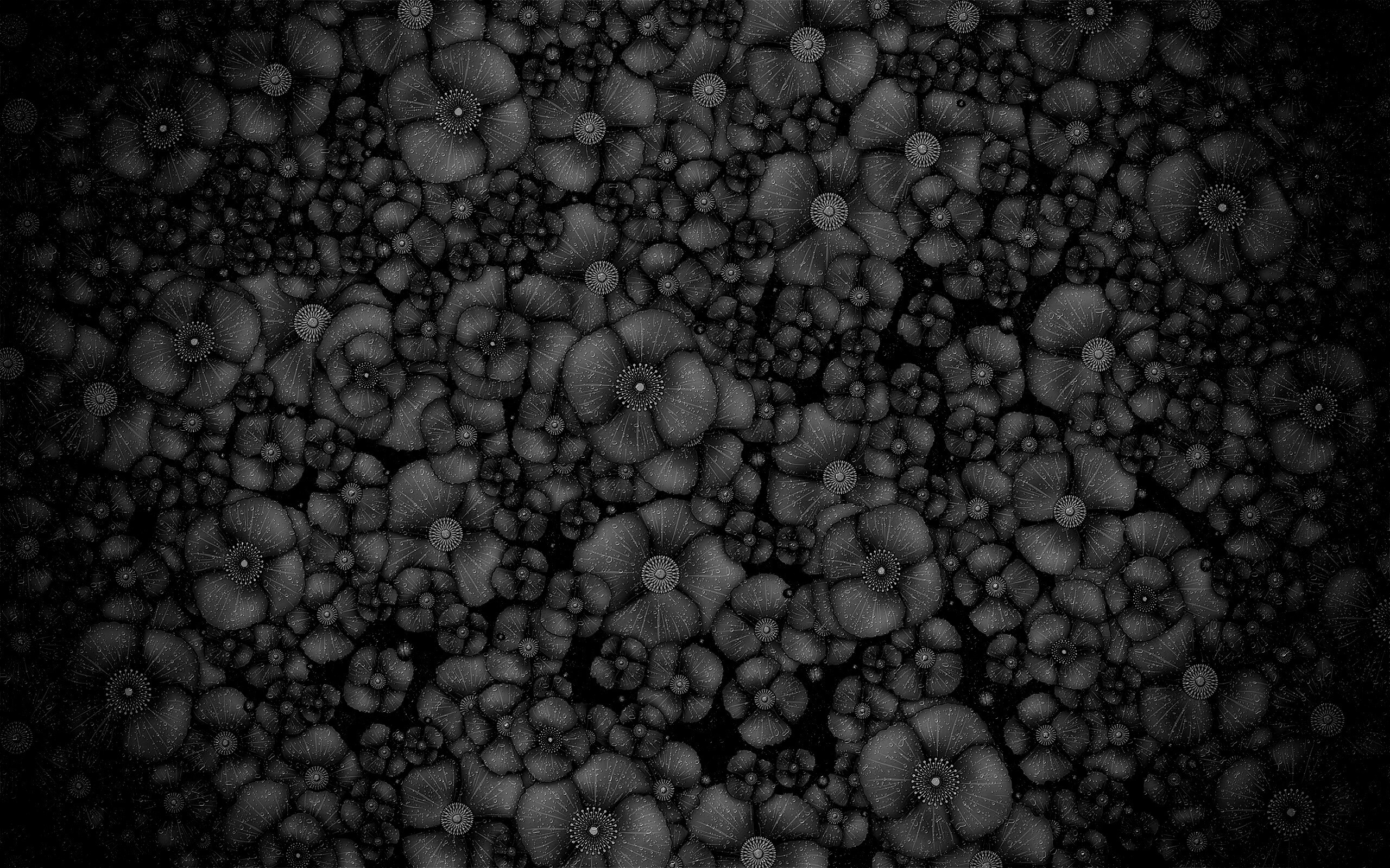 Рисунко с красными цветами обои