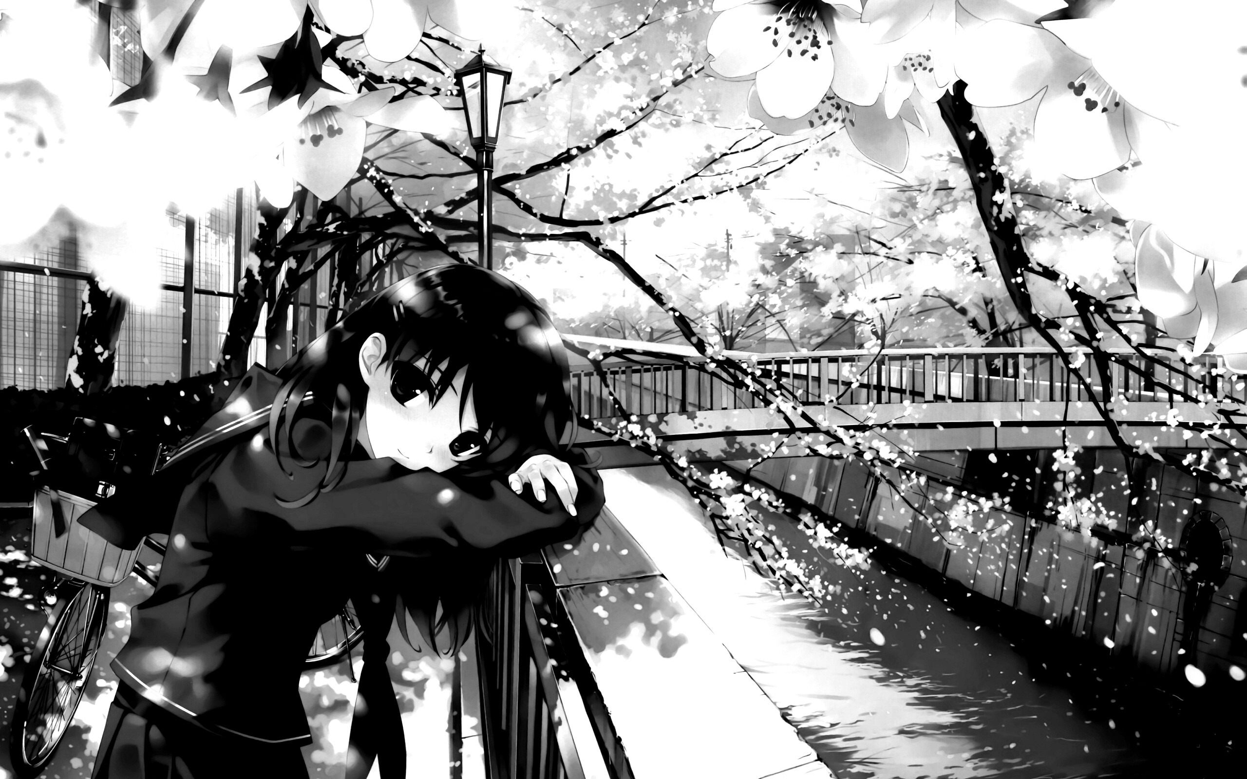 Девушка среди лепестков сакуры обои