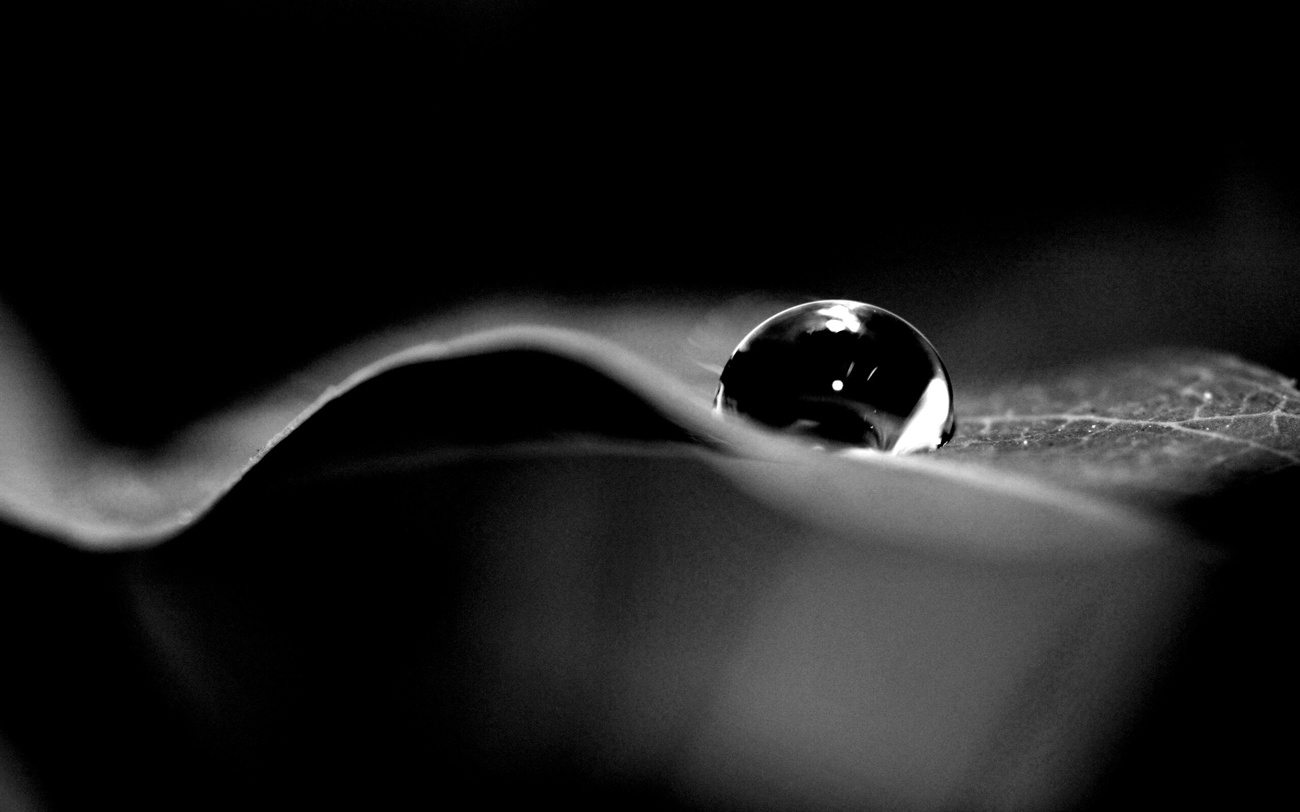 Фотография капли воды в макро обои