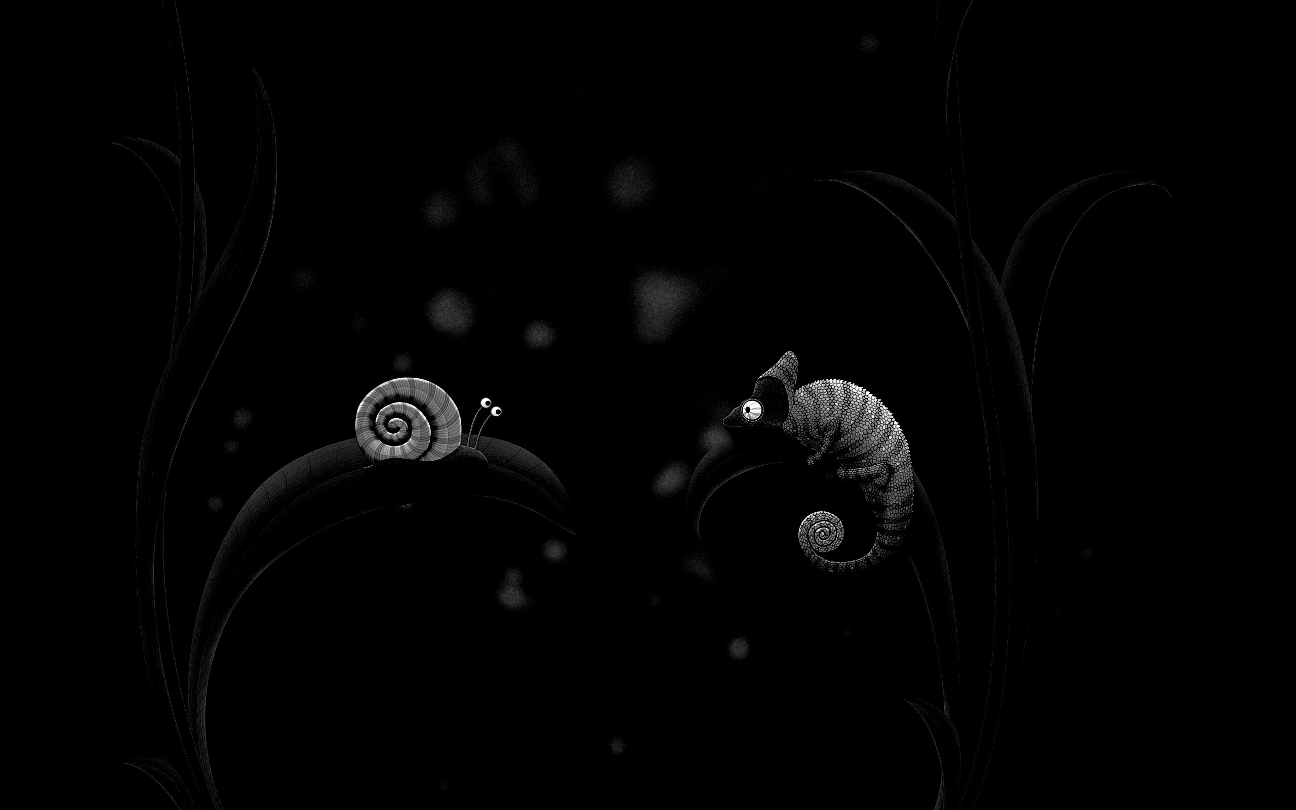 Хамелеон замаскированный под улитку обои