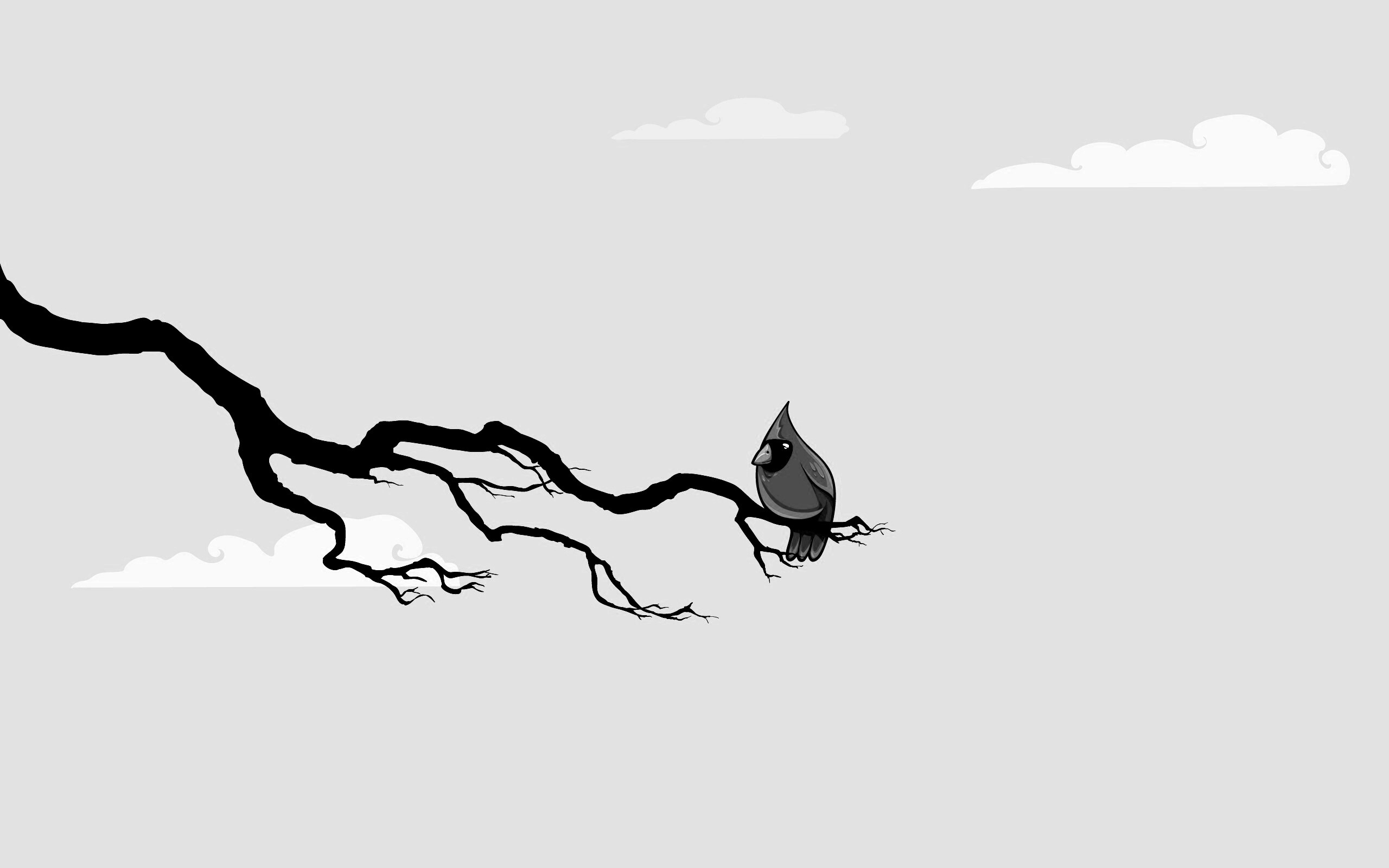 Красная птица на ветке обои