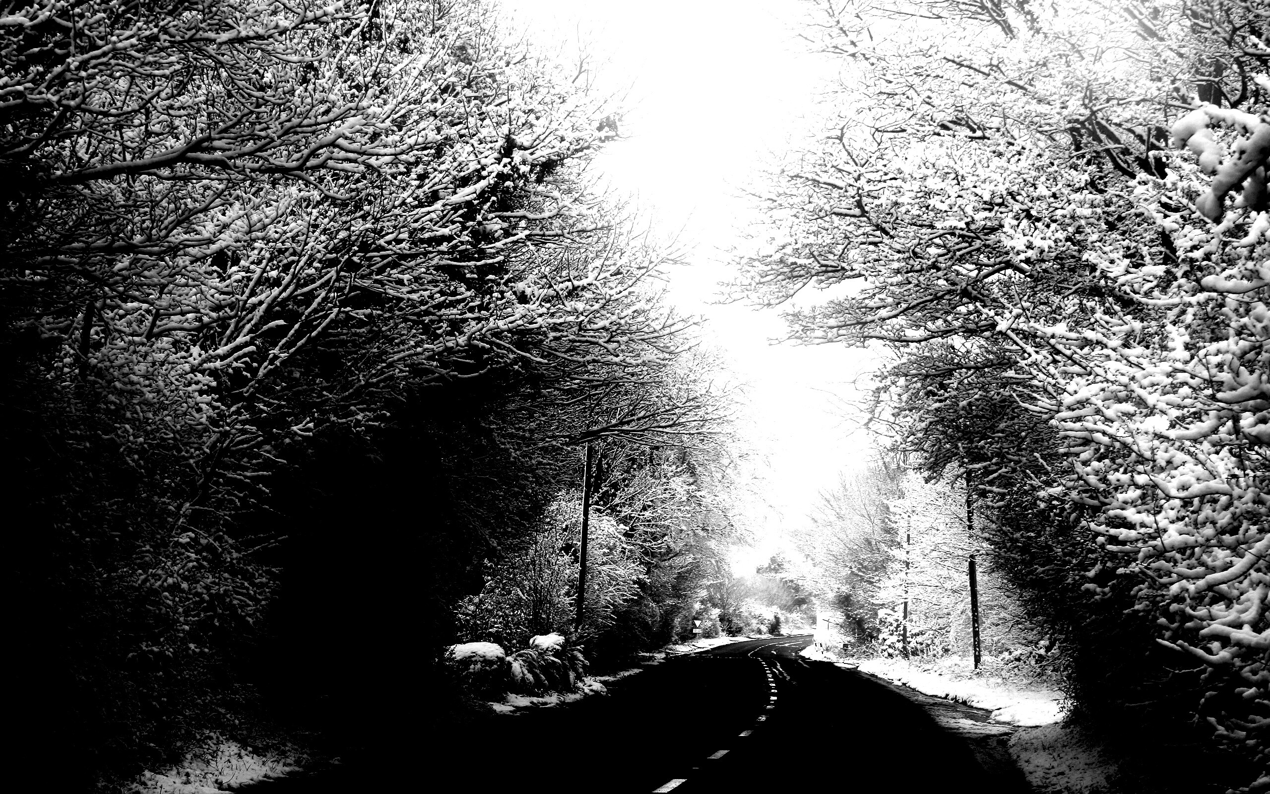 Дорога через зимний лес обои