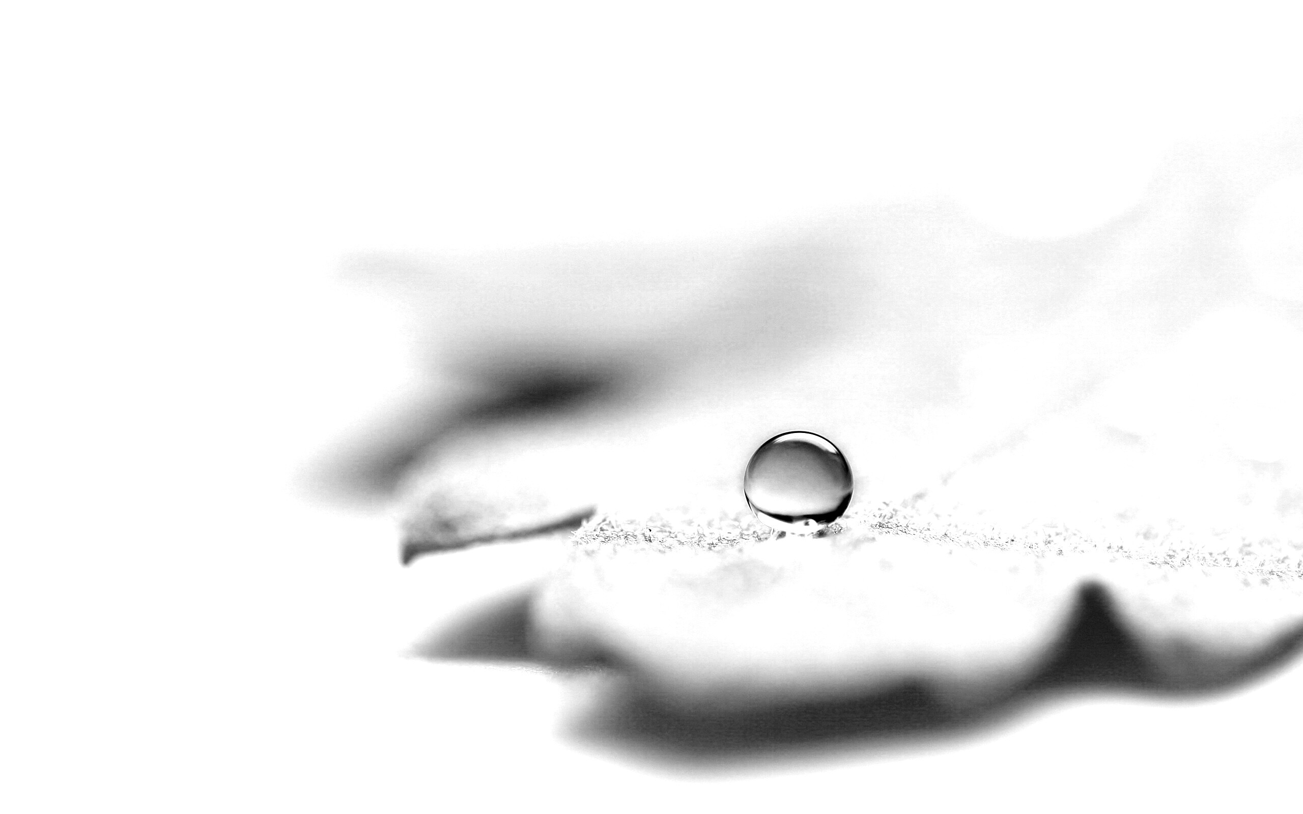 Капля на замёрзжем листе обои