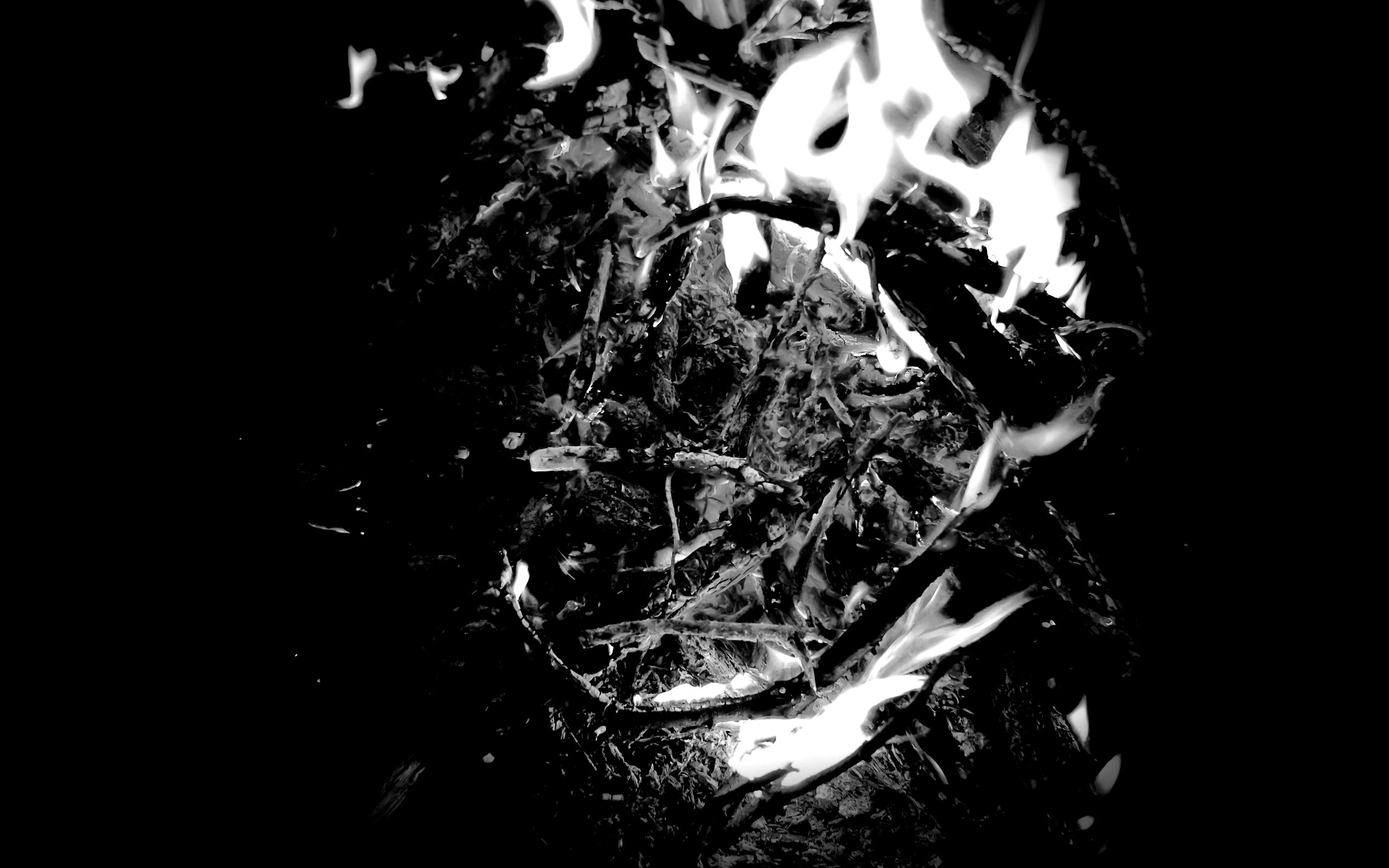 Костёр крупным планом обои