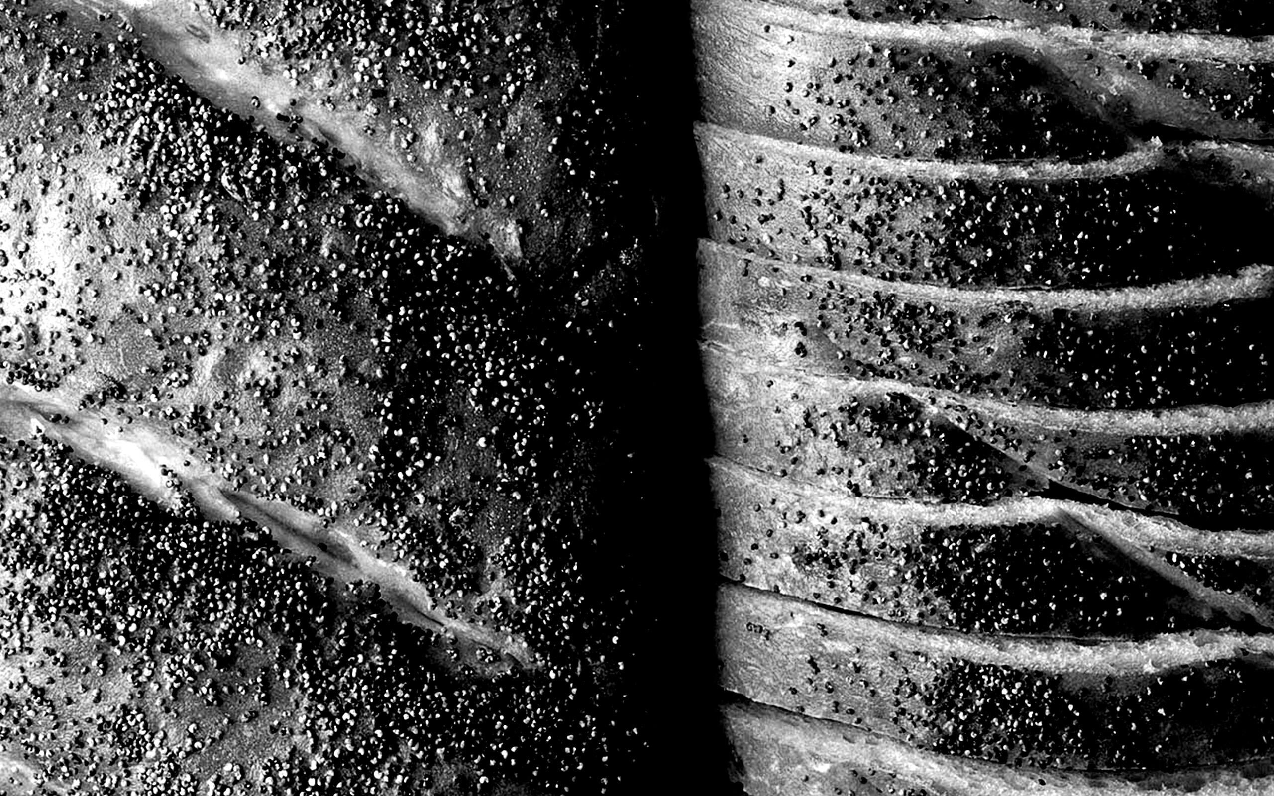 Выпечка с маковой крошкой обои