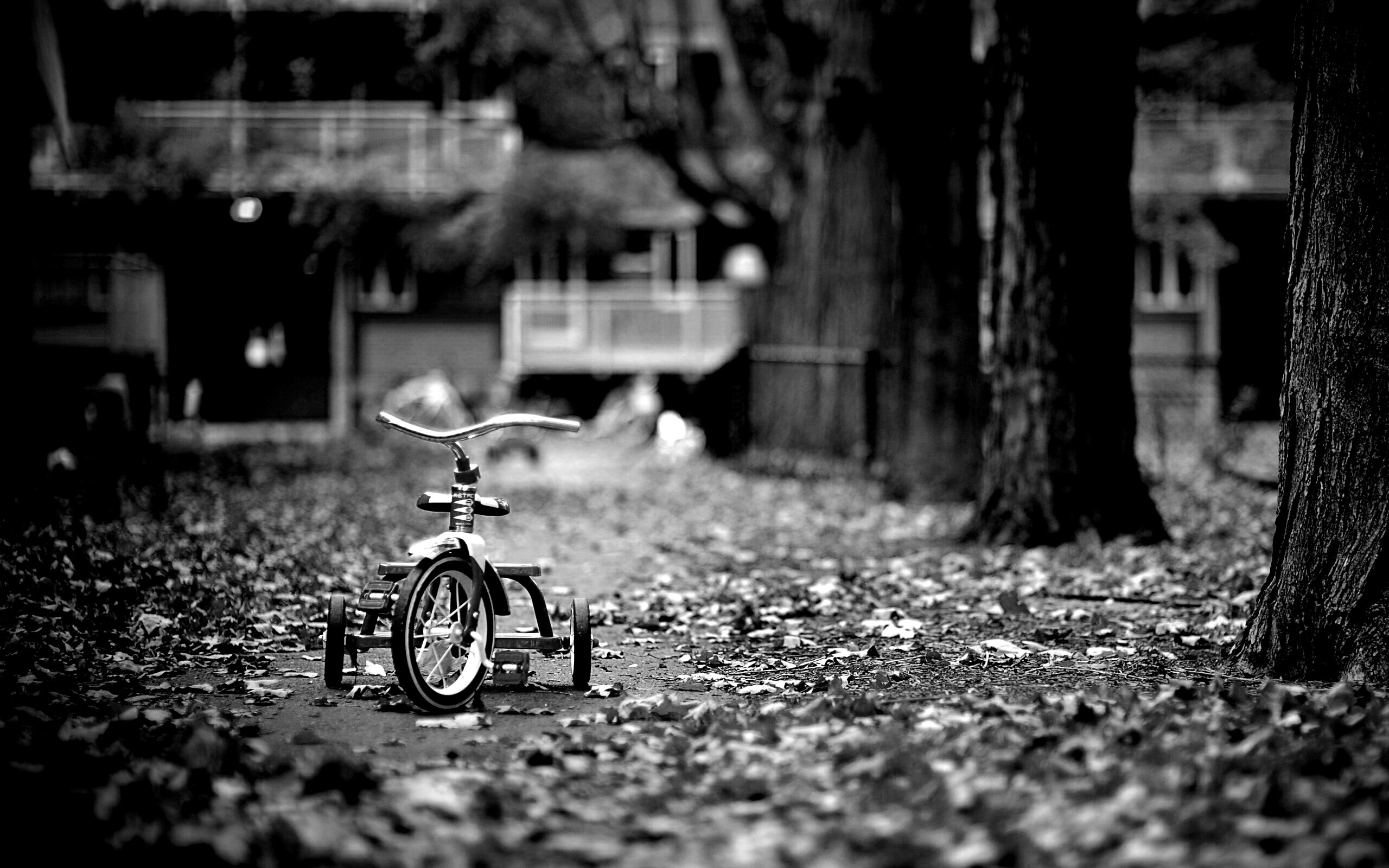 Трёхколёсный друг на осенней дорожке обои