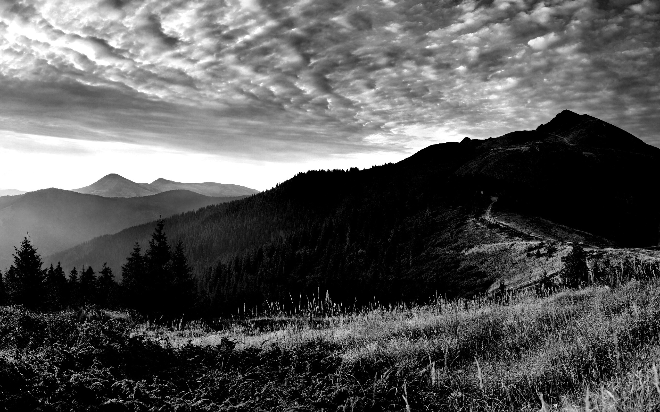 Предгорье обои