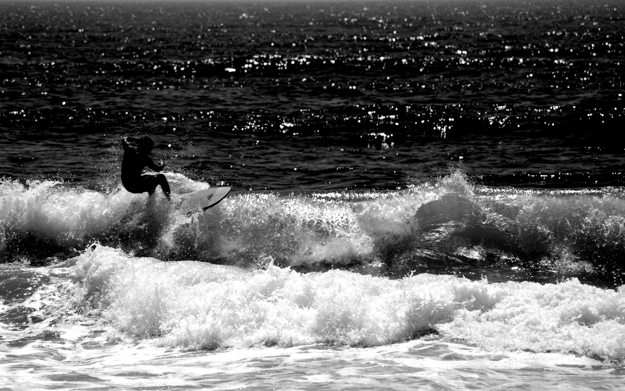 Сёрфенгист поймал волну обои