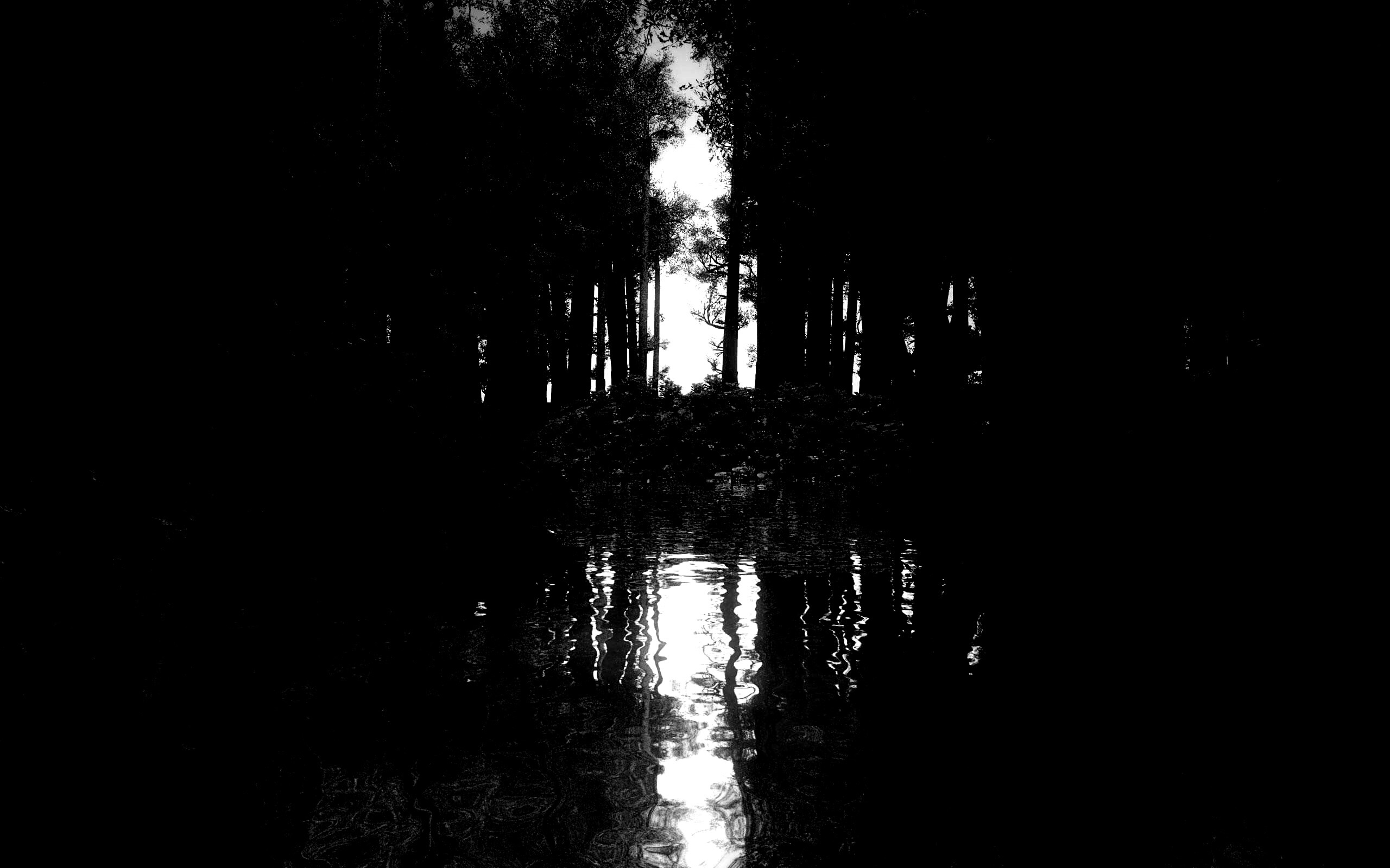 Болото в лесу обои