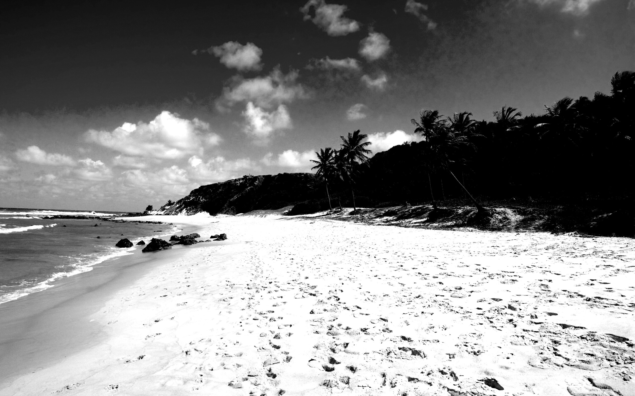 Туры в Бразилию в Лондрину обои