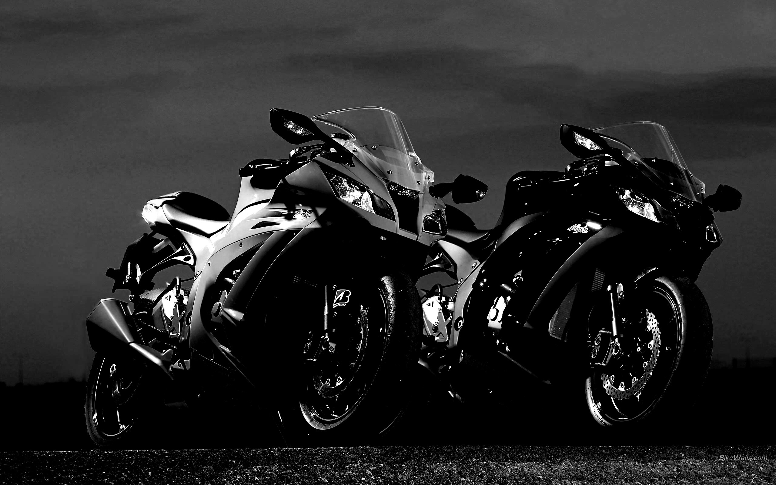 Два Кавасаки обои