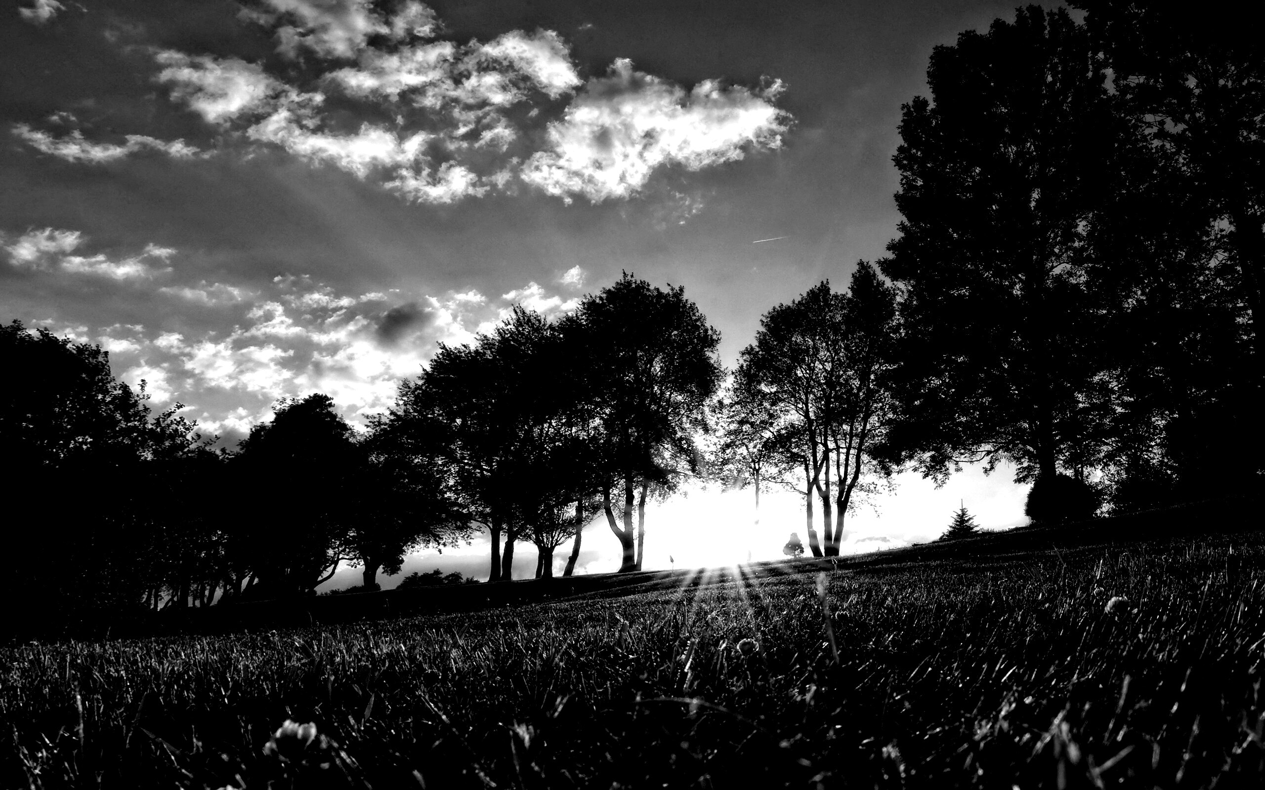 Лучи солнца на траве обои