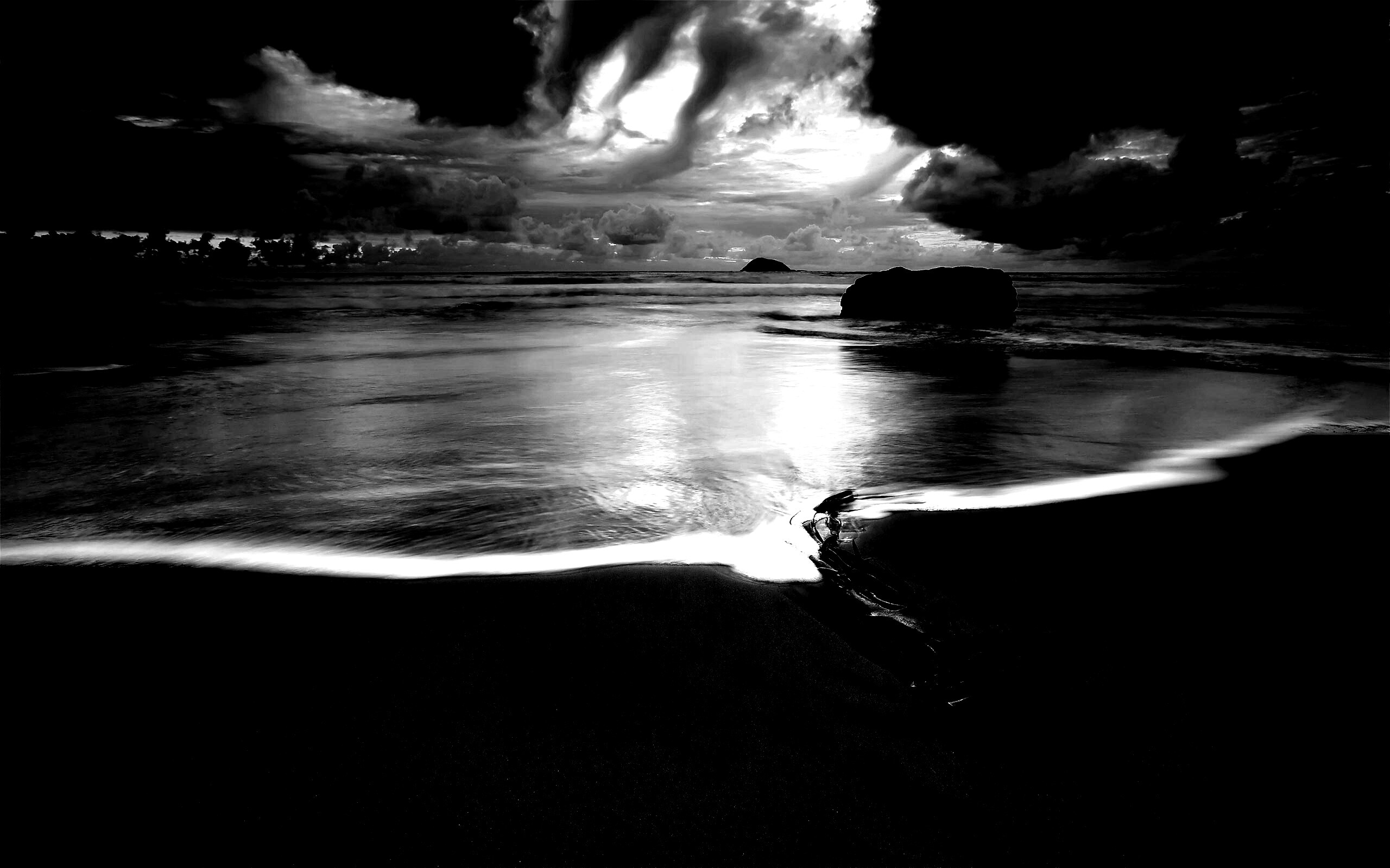 Коряга на пляже обои