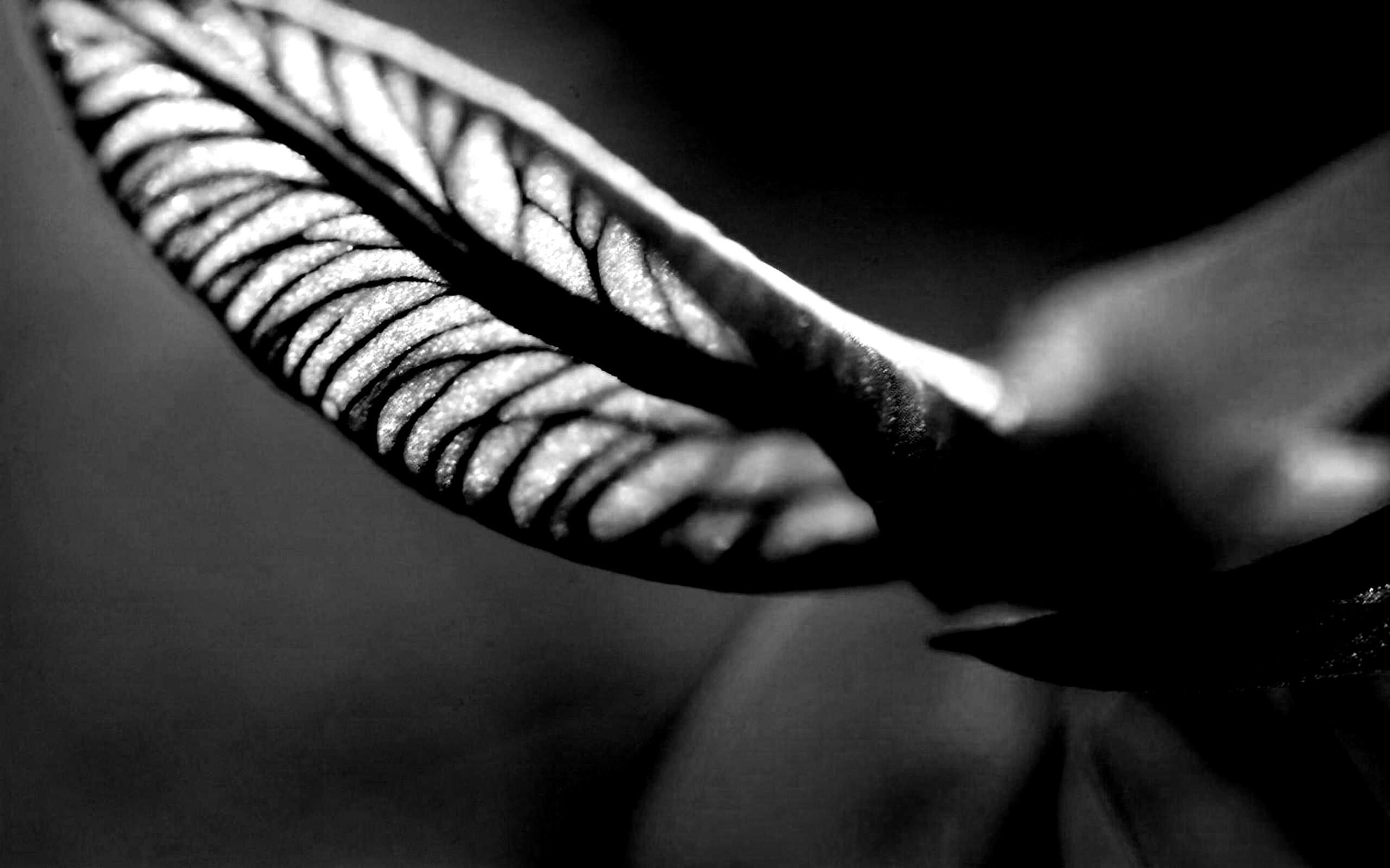 Сетчатый лист обои