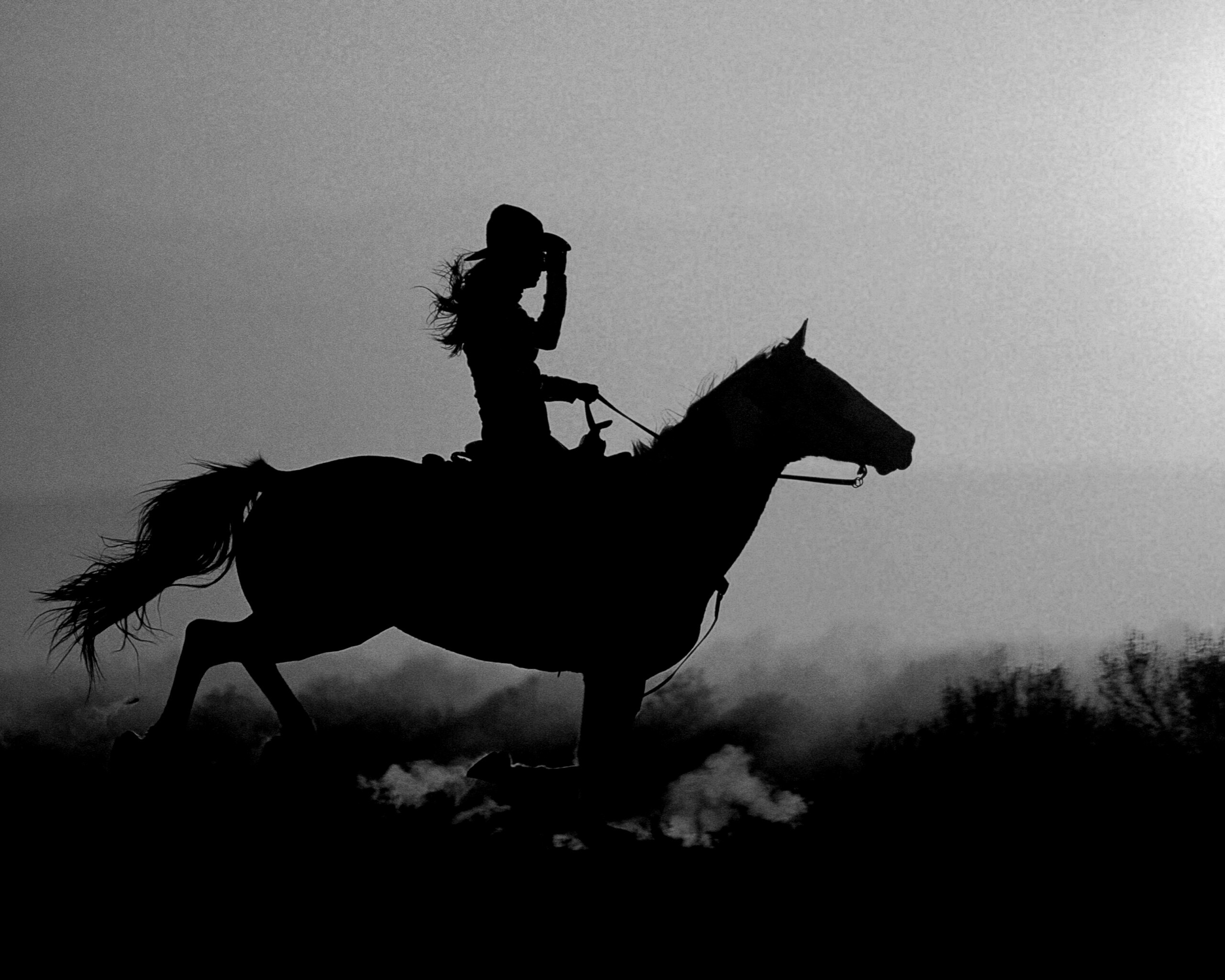 Наездница на закате обои