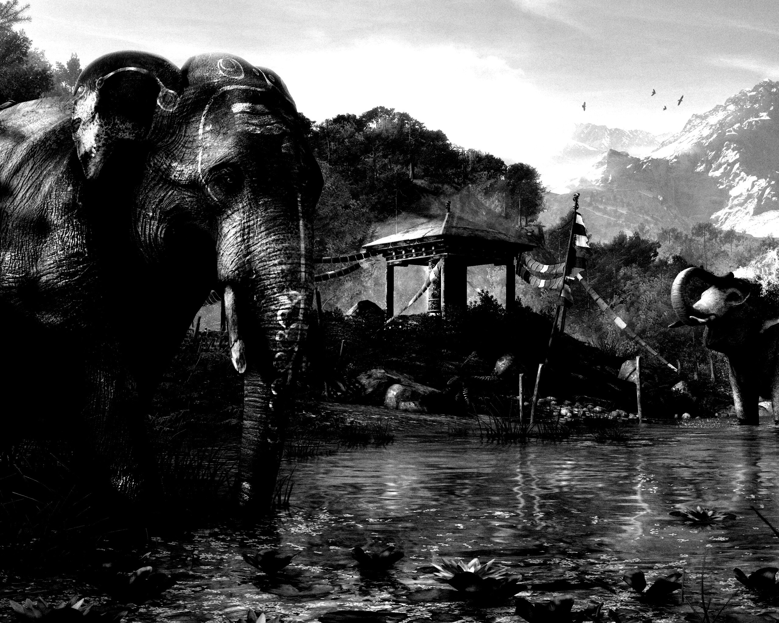 Слоники у воды обои