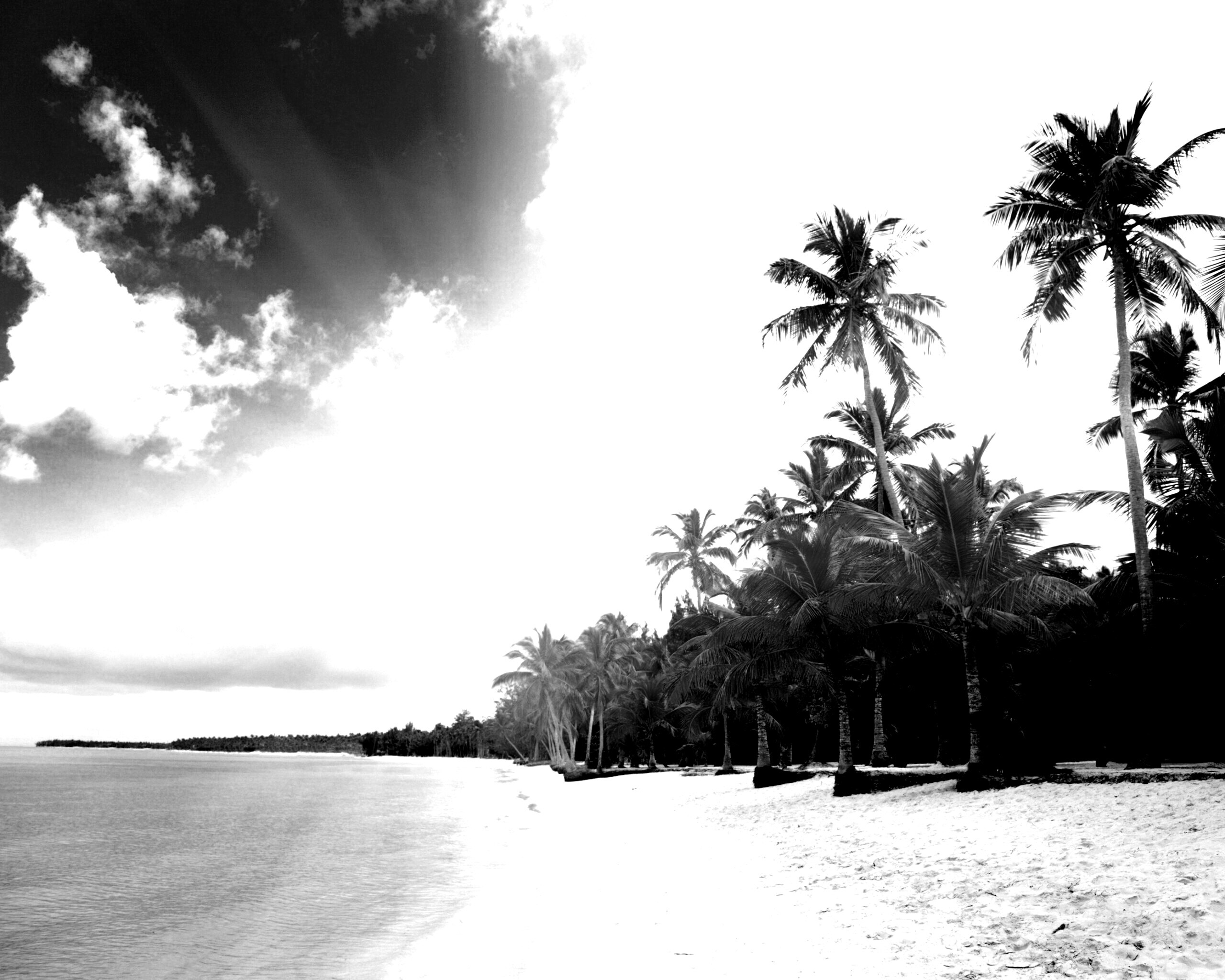 Тропическое побережье обои