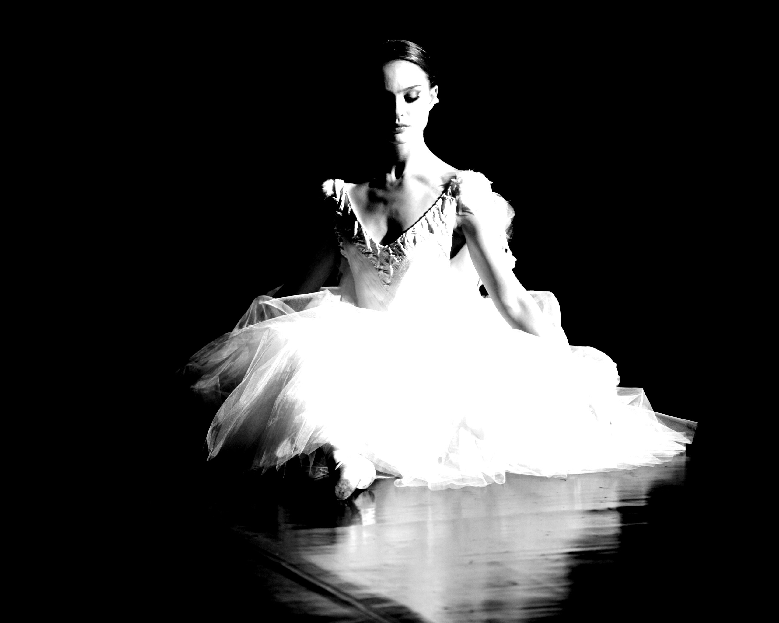 Черный лебедь обои