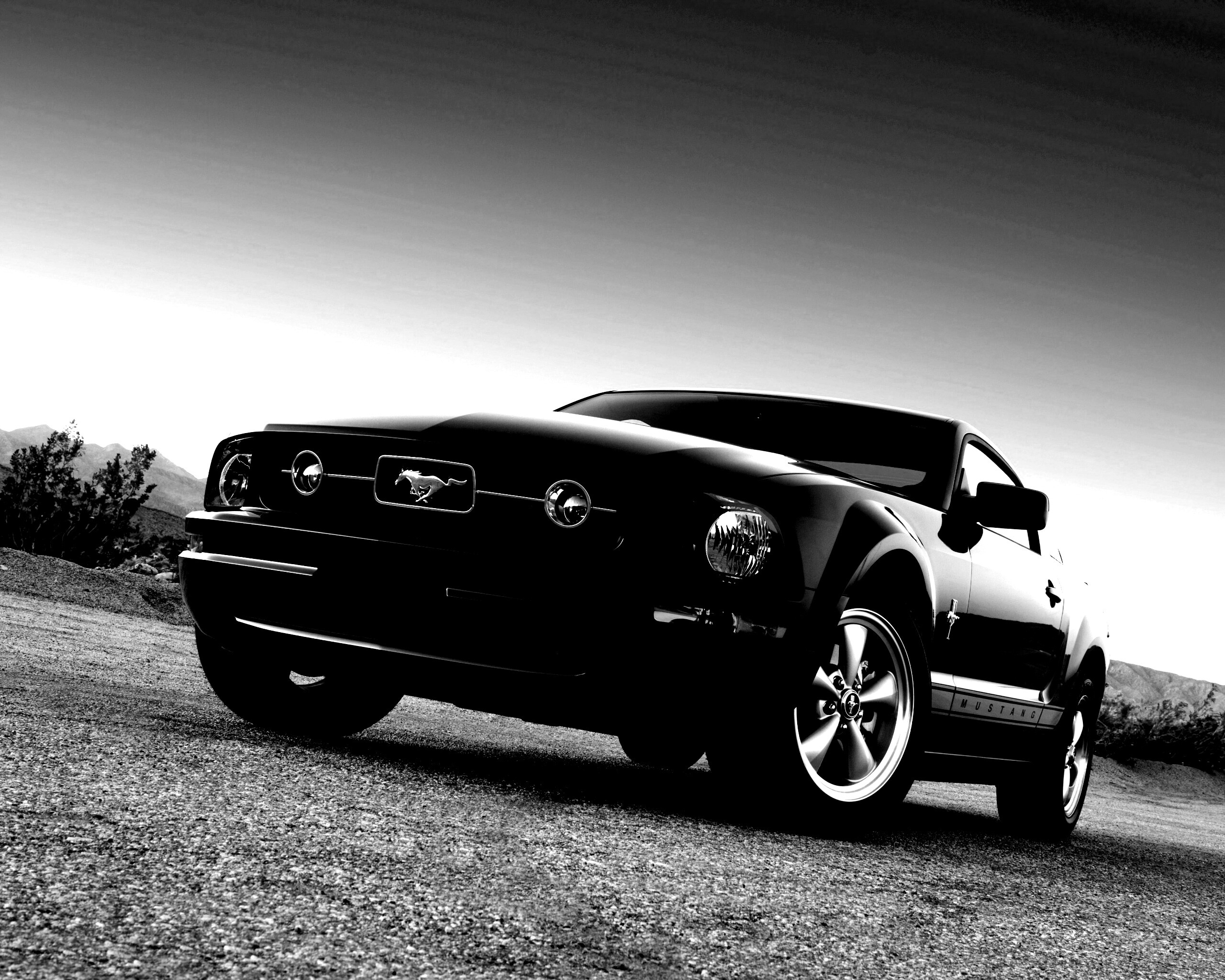 Ford Mustang обои