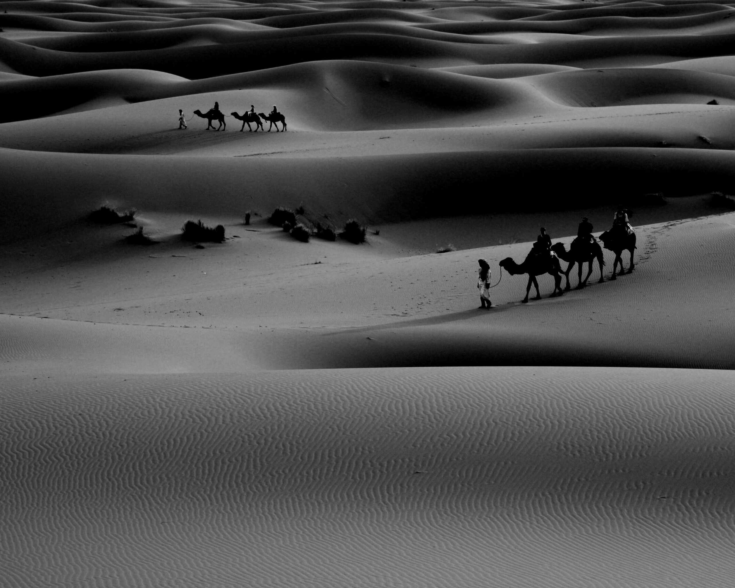 Караваны пустыни обои