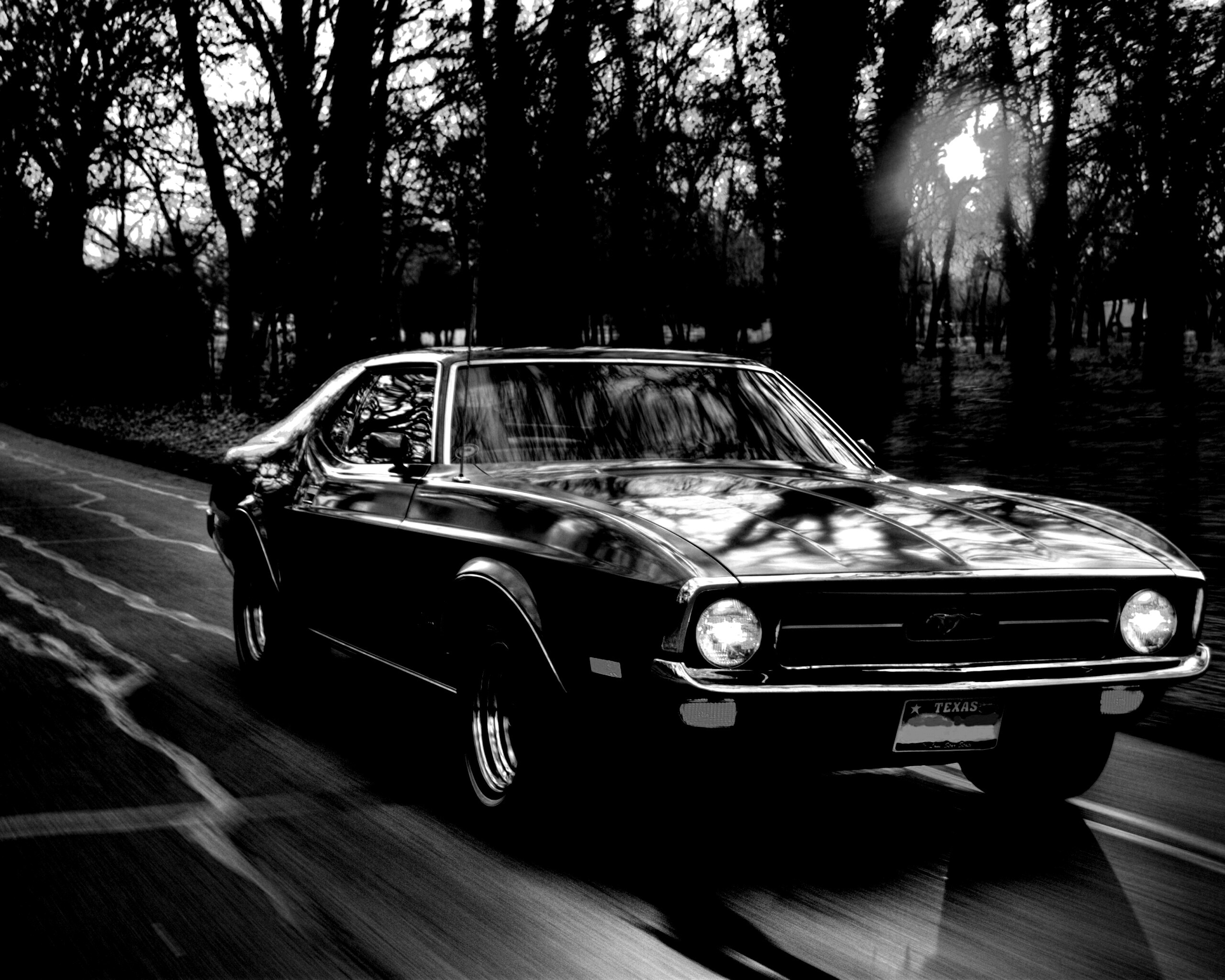 Мустанг обои