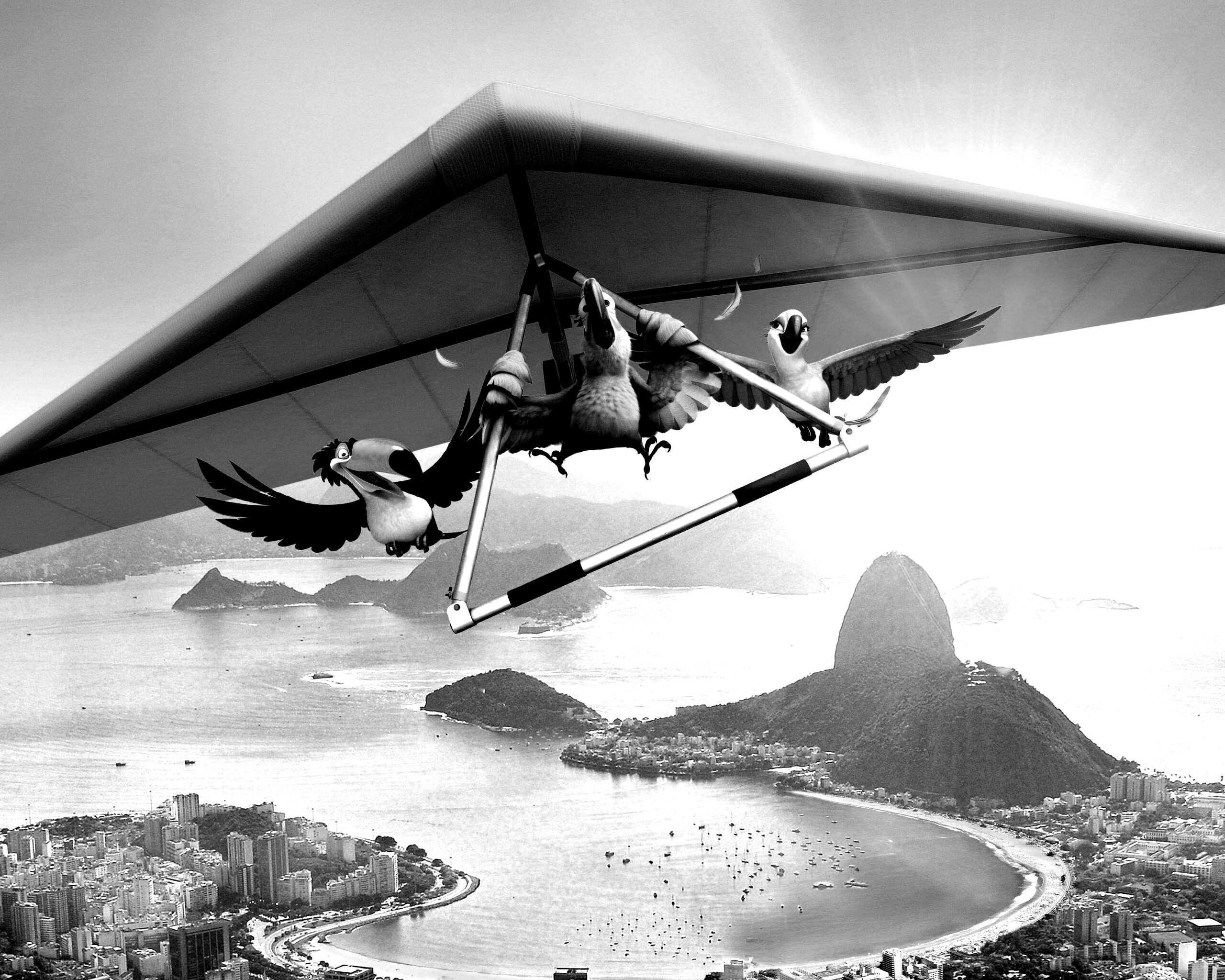 Герои мультфильма Рио обои