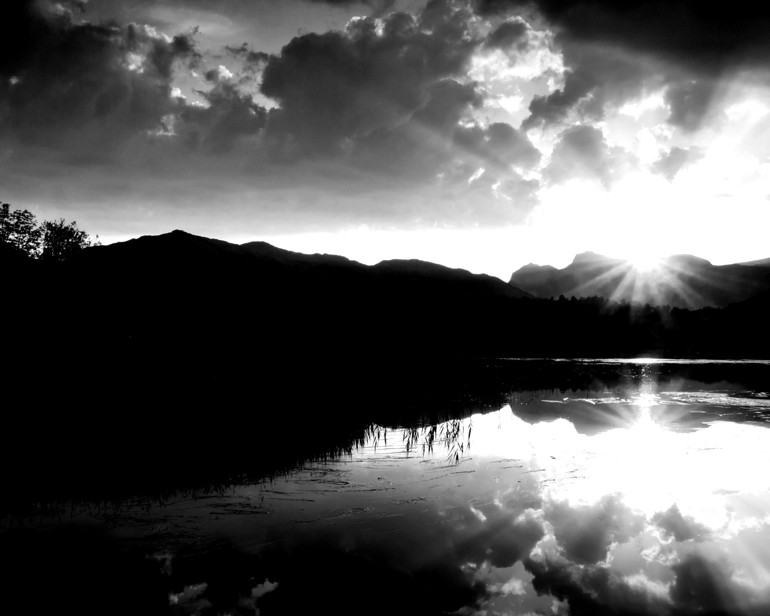 Закат за лесом обои