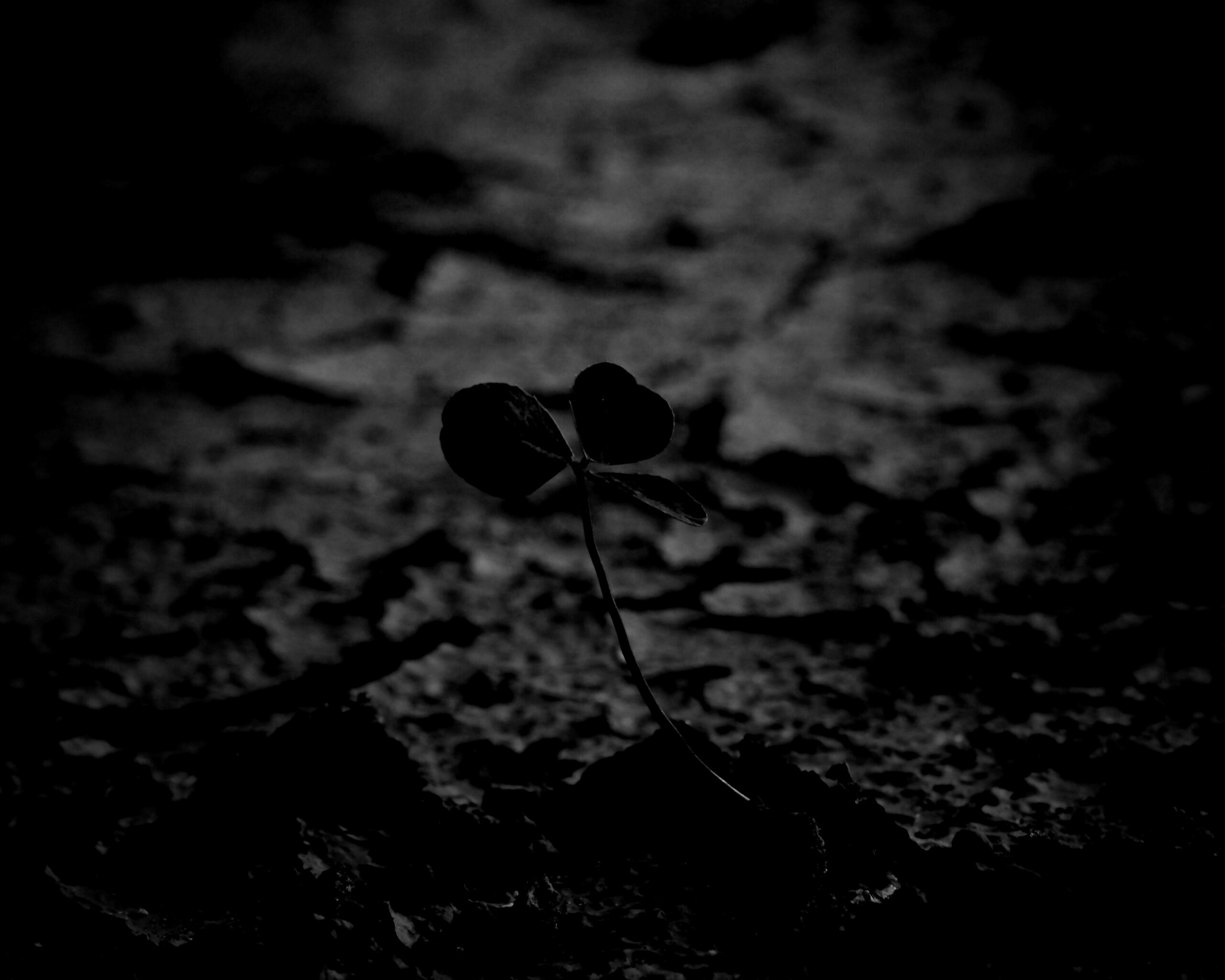 Сила природы обои