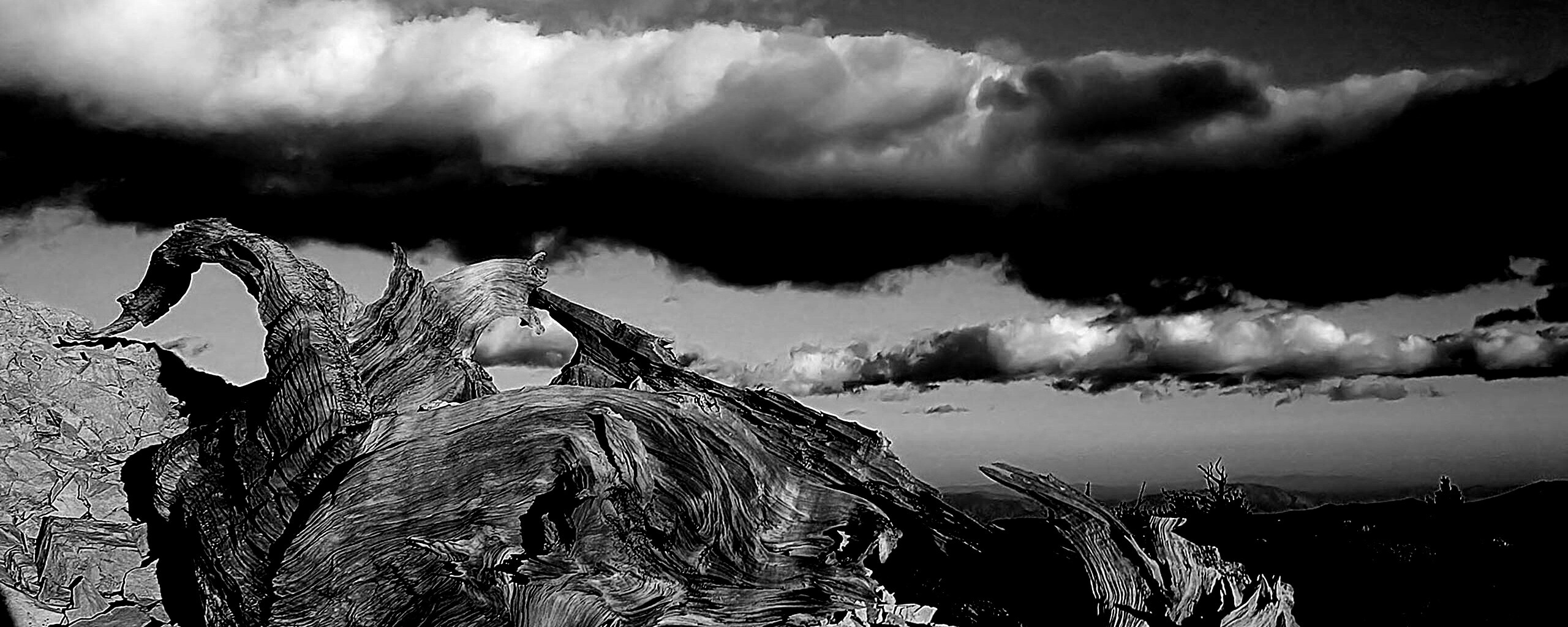 Прелести природы обои