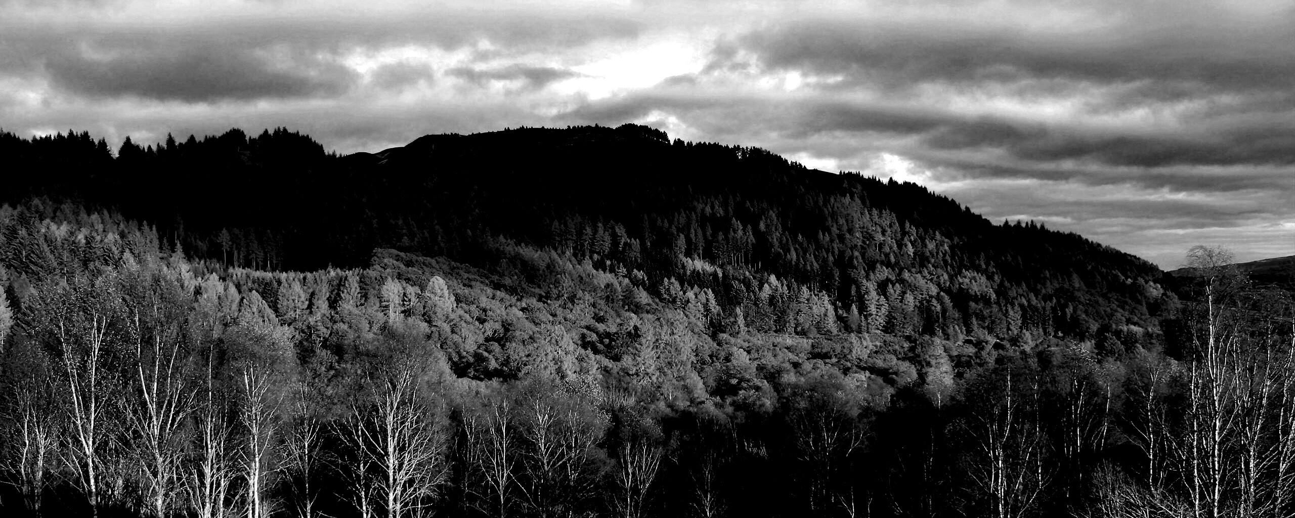 Золотая осень обои