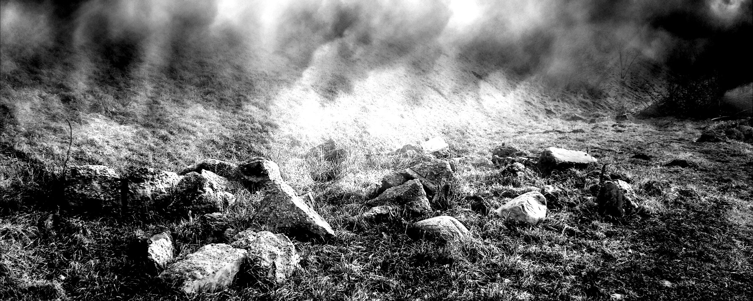 Туман на склоне обои