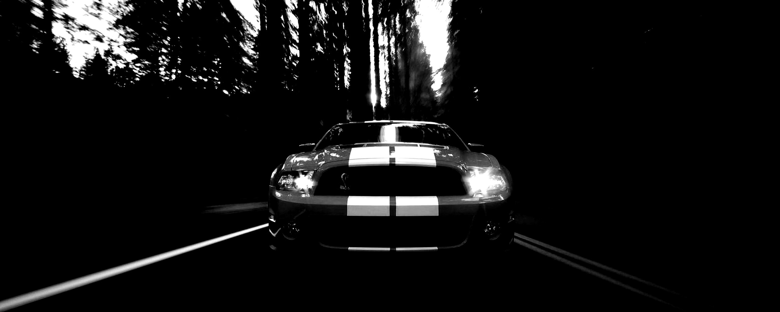 Форд Шелби обои