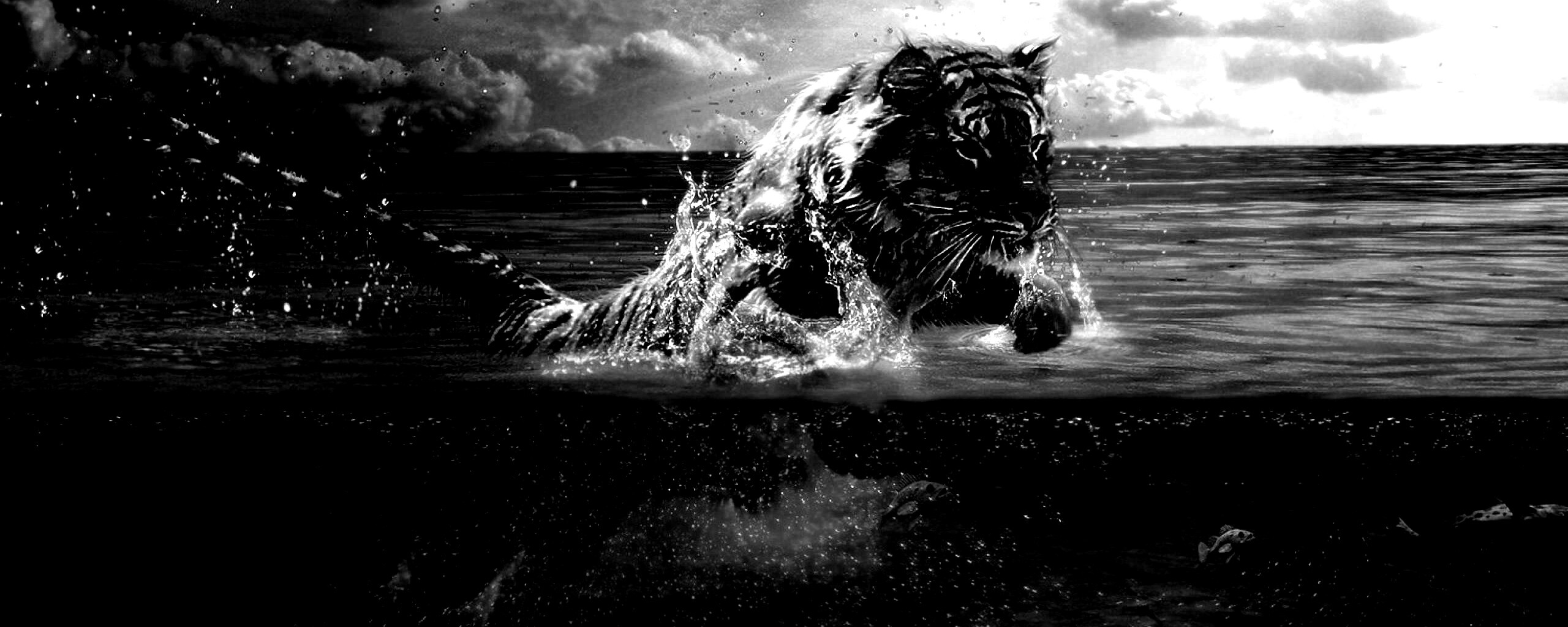 Тигр купается обои