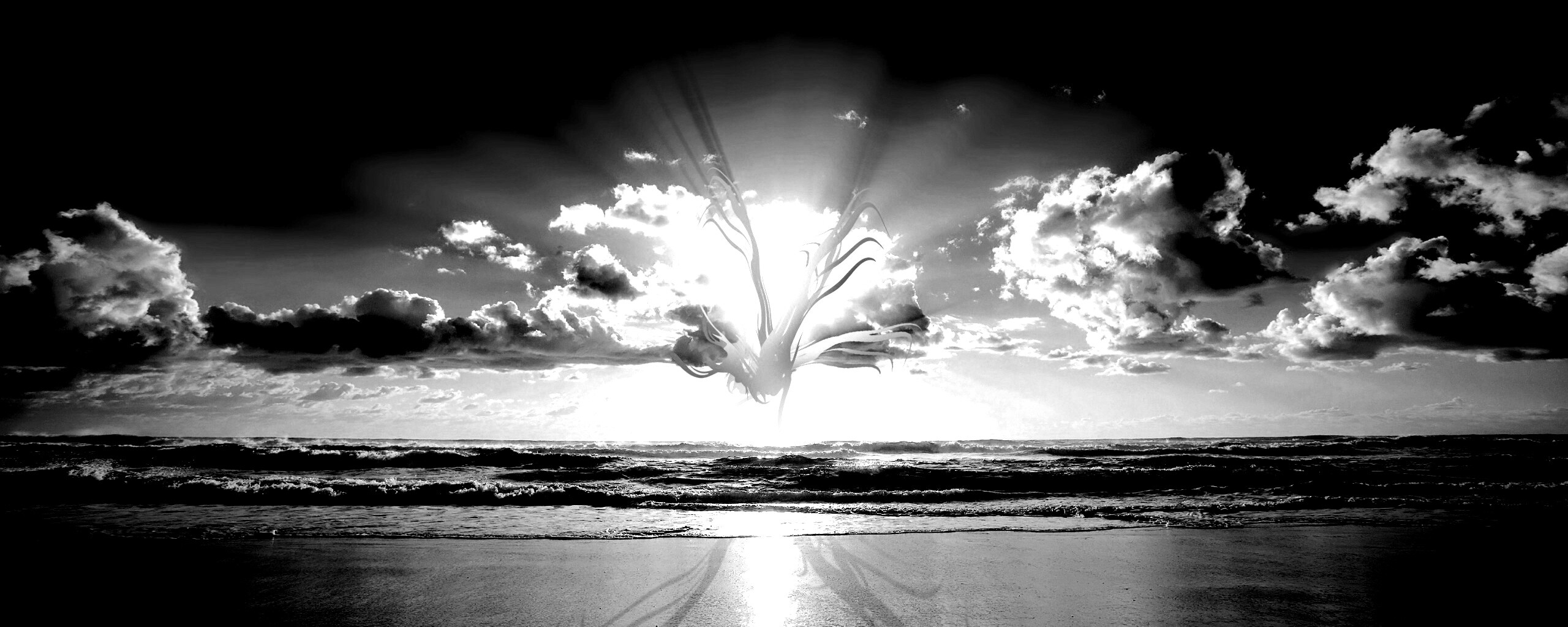 Абстрактные перья на фоне заката обои