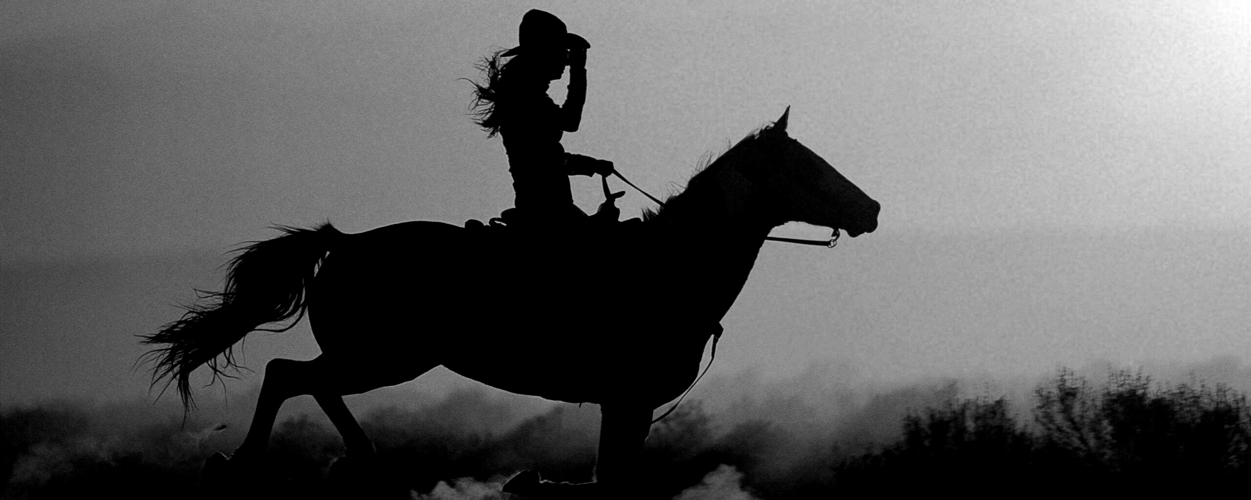 Наездница на закате обои