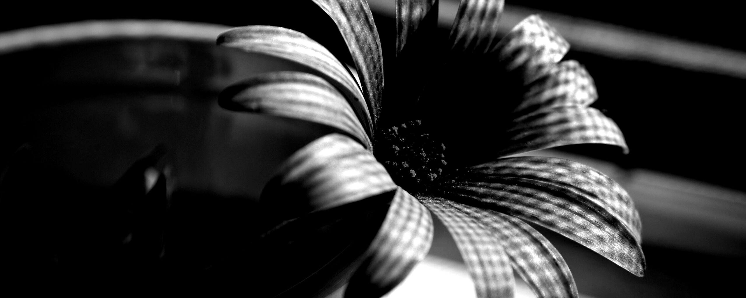 Сиреневый цветок в стакане обои