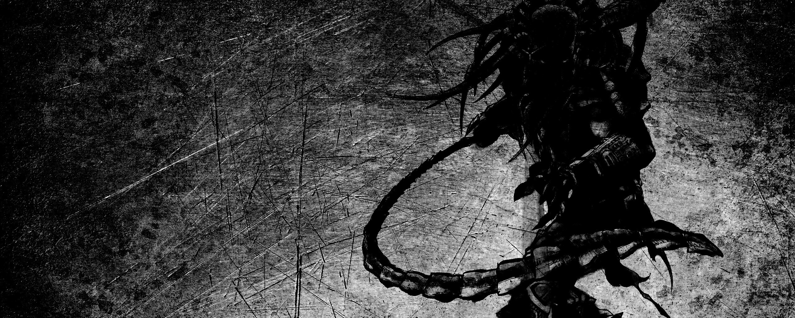 Хищник обои