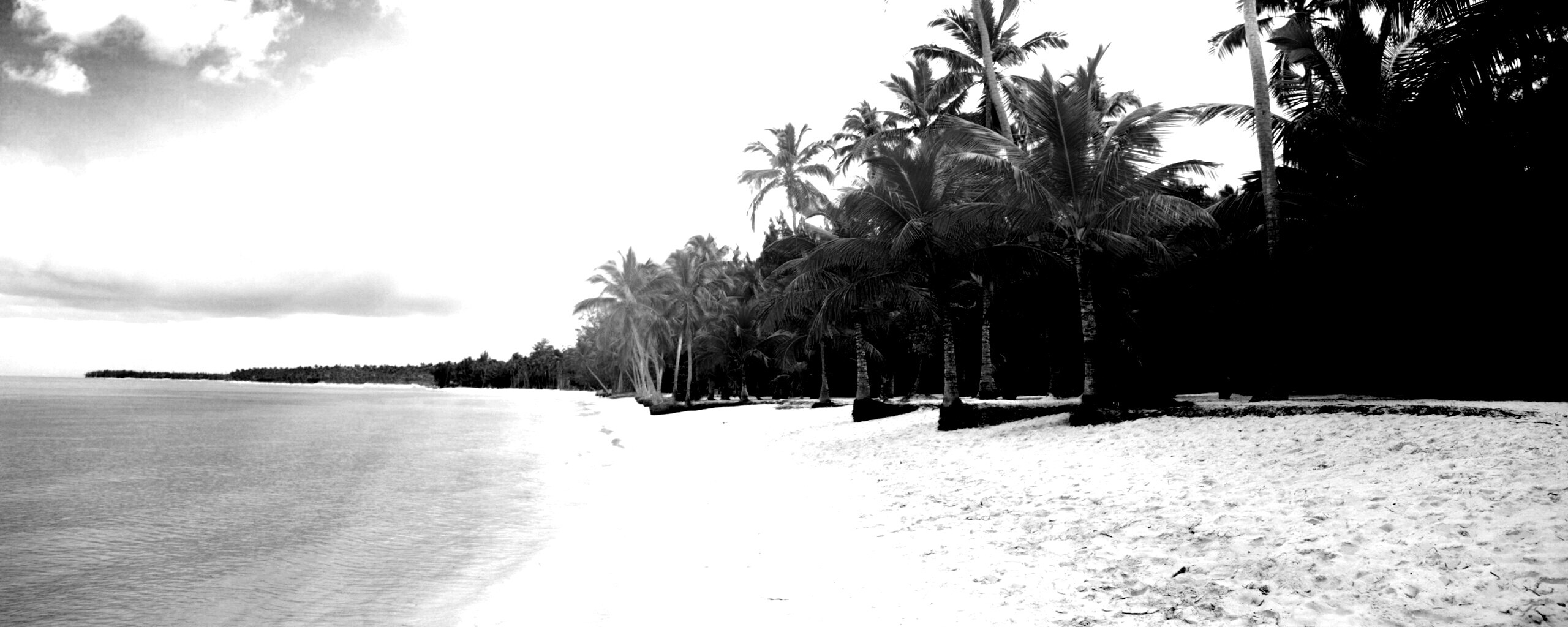 Тропическое побережье обои