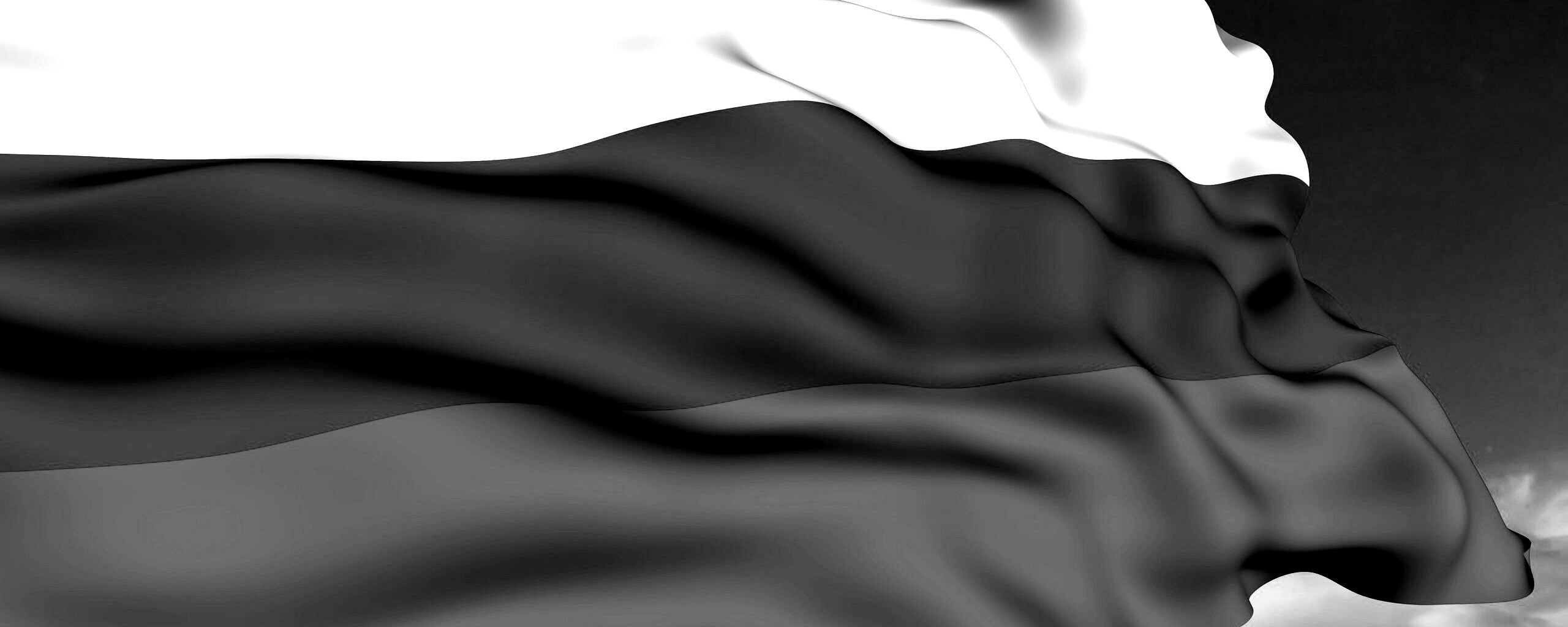 Флаг России обои