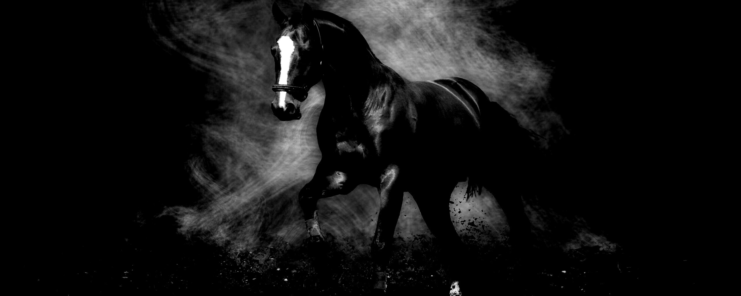 Лошадь обои