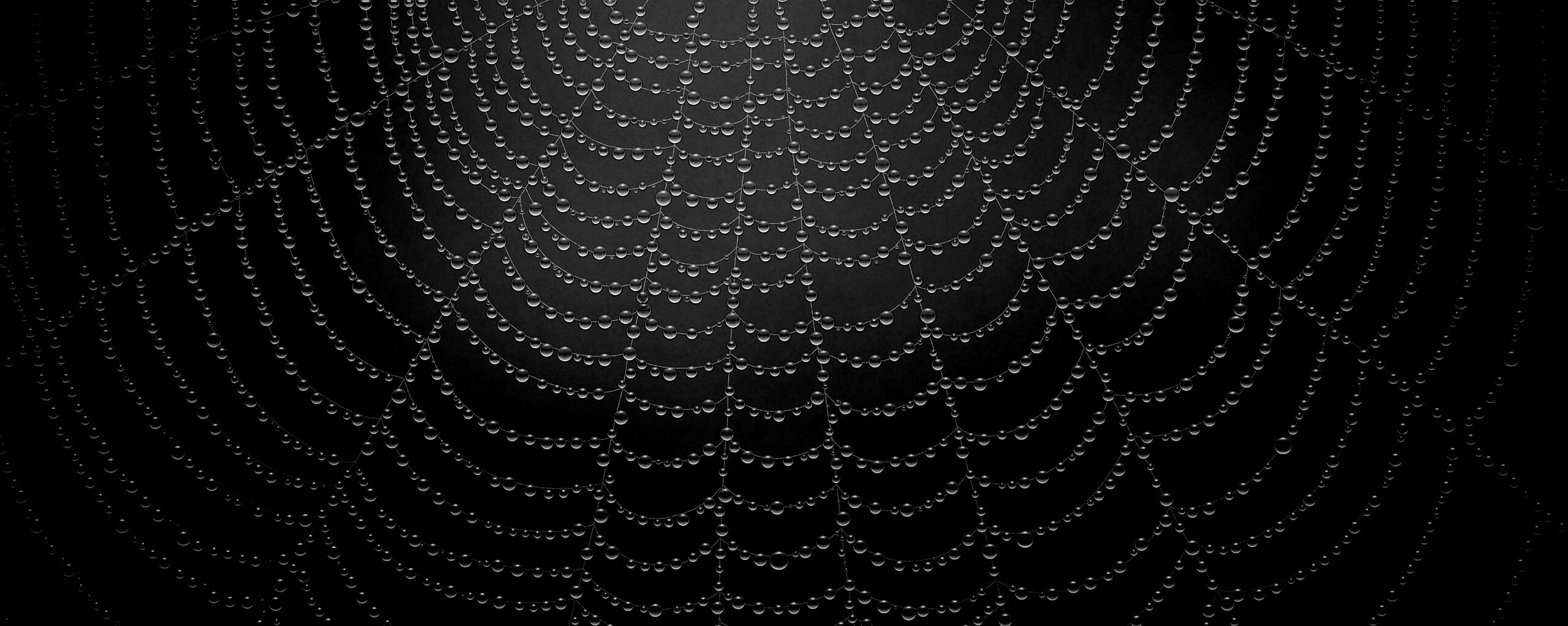 Роса на паутине обои