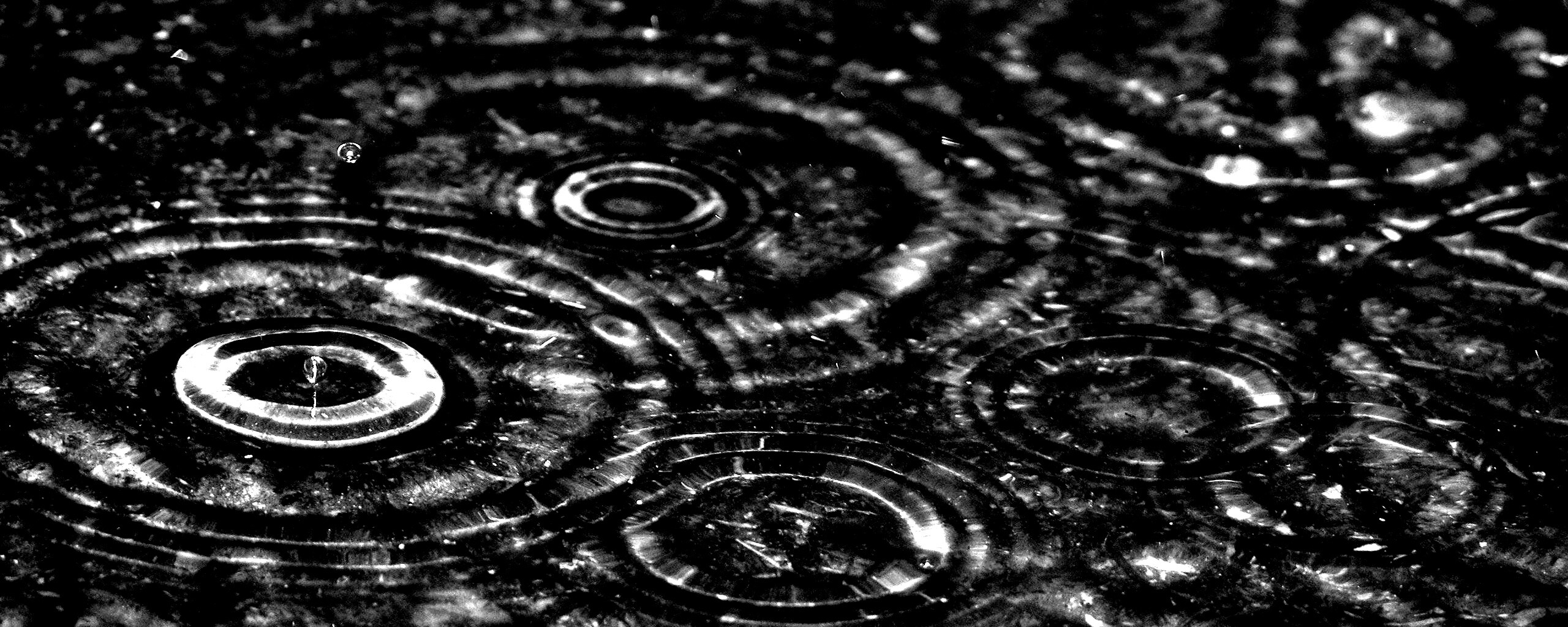 Круги на воде обои