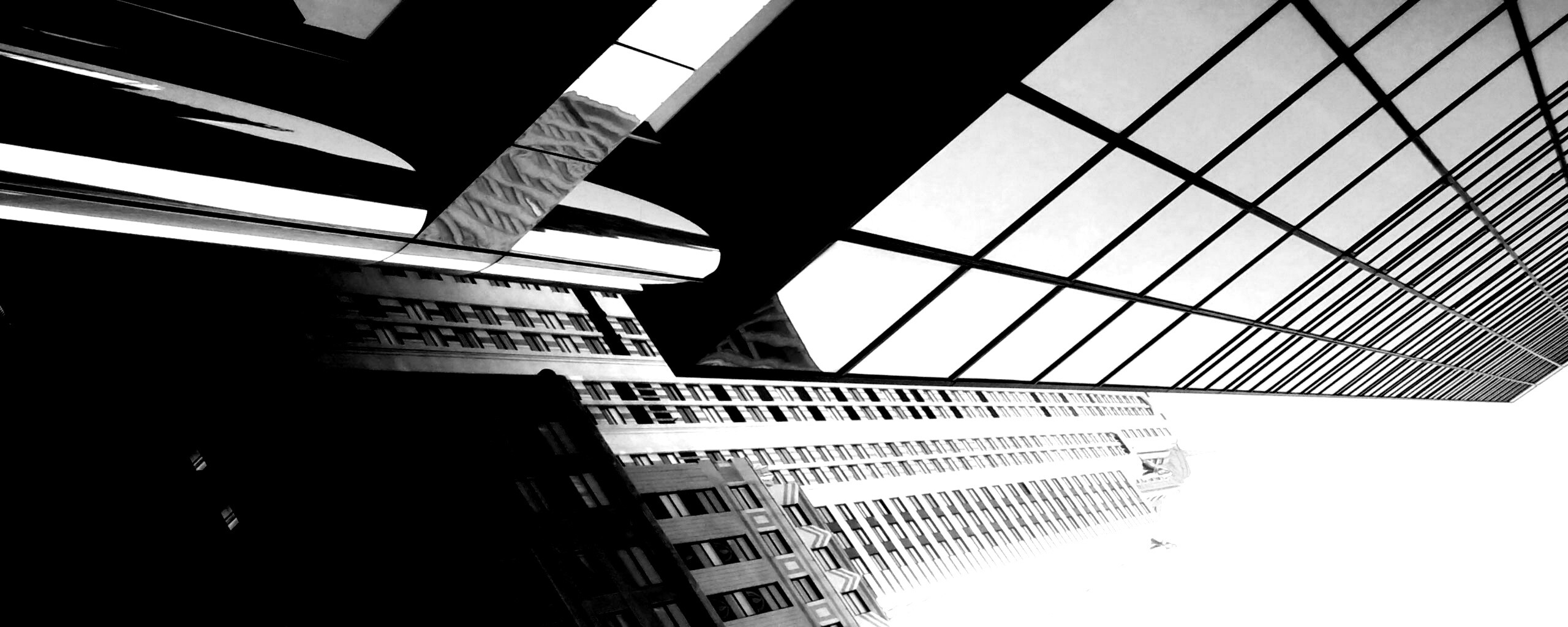 Взгляд вверх обои