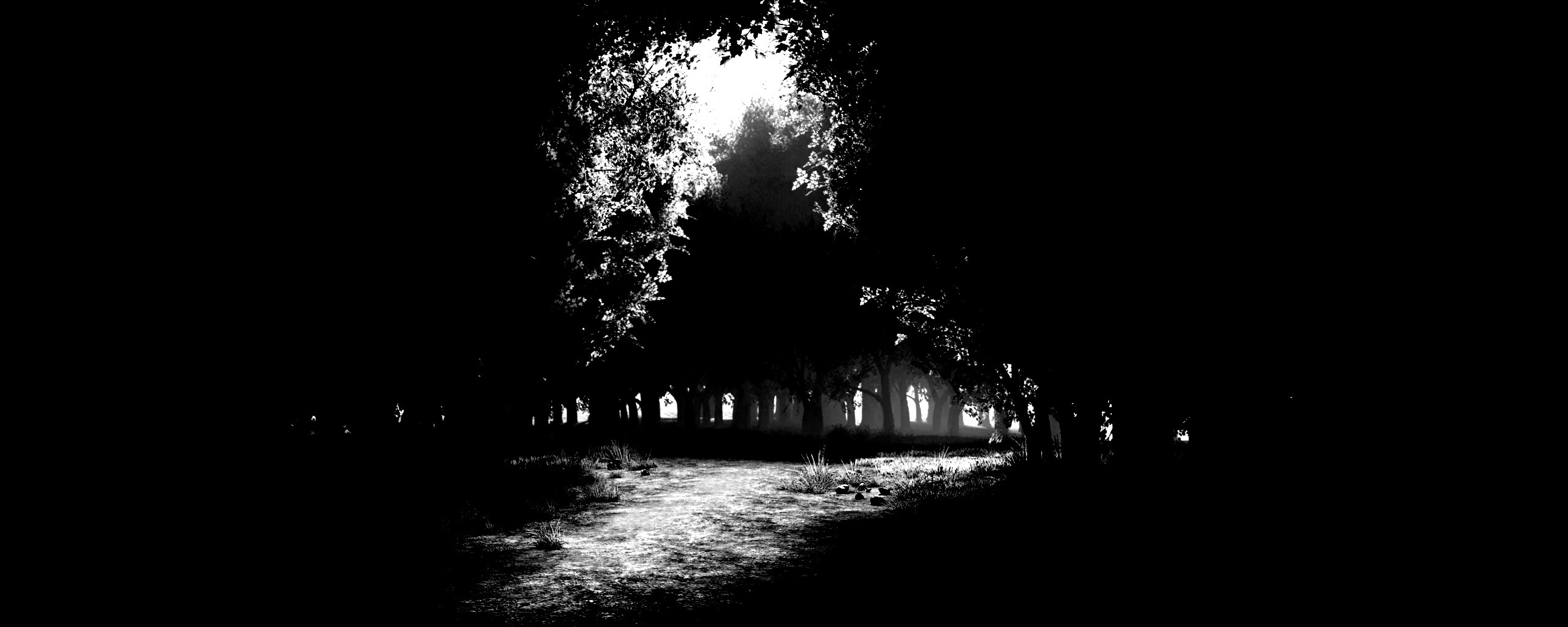 Сумерки в волшебном лесу обои