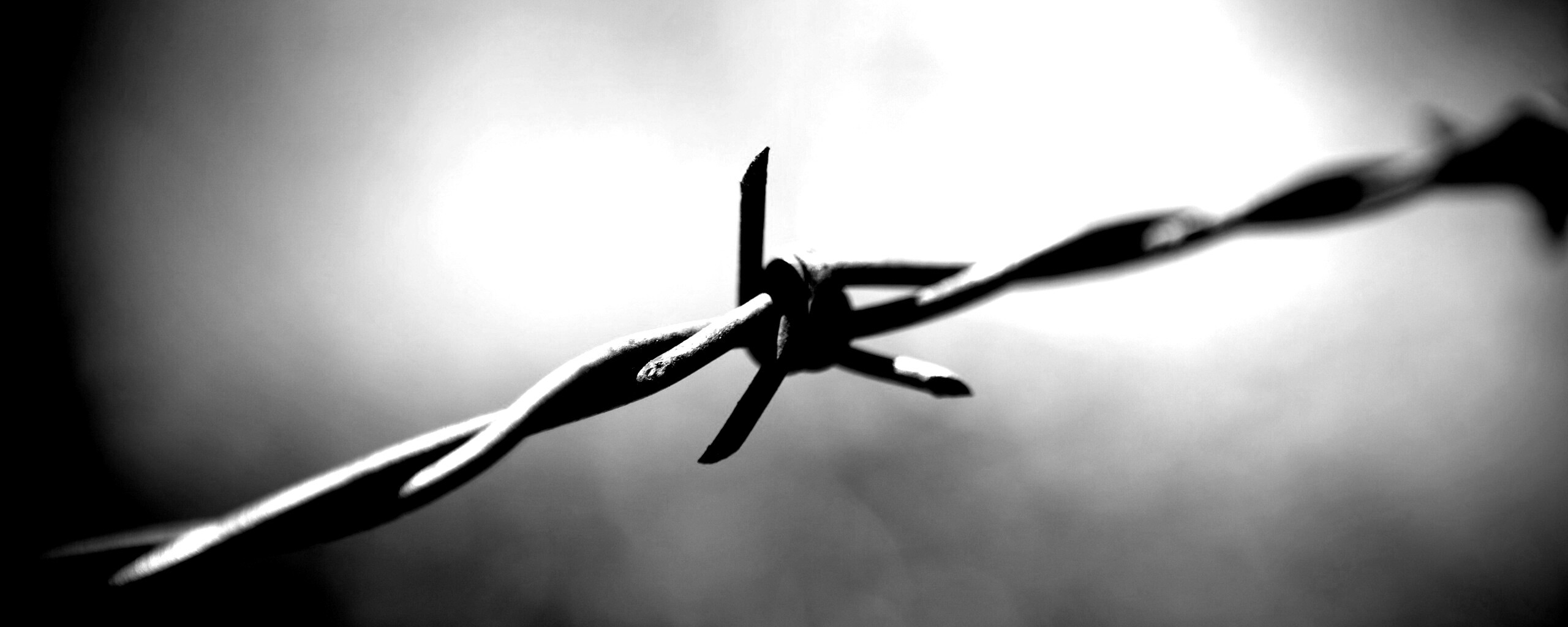 Фото колючей проволоки обои