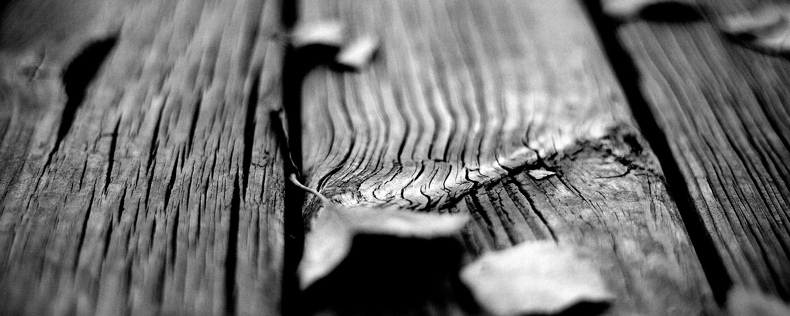 Листья на дощатом полу обои